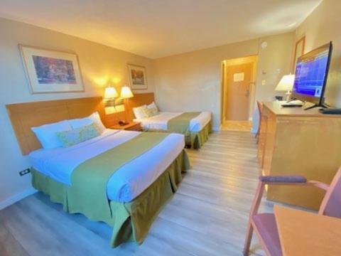 Efficiency Suite with Two Double Beds - Non-Smoking