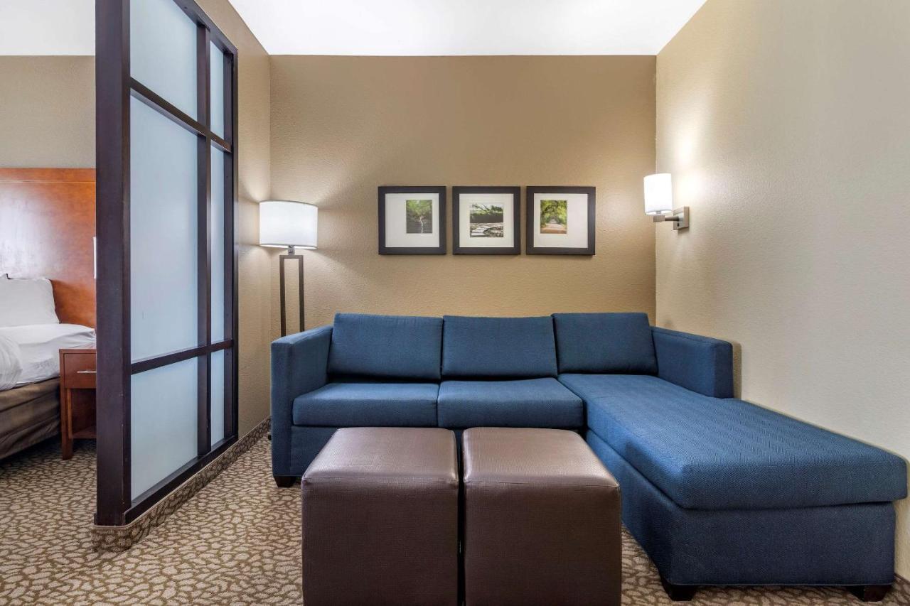 King Suite Sofa Bed