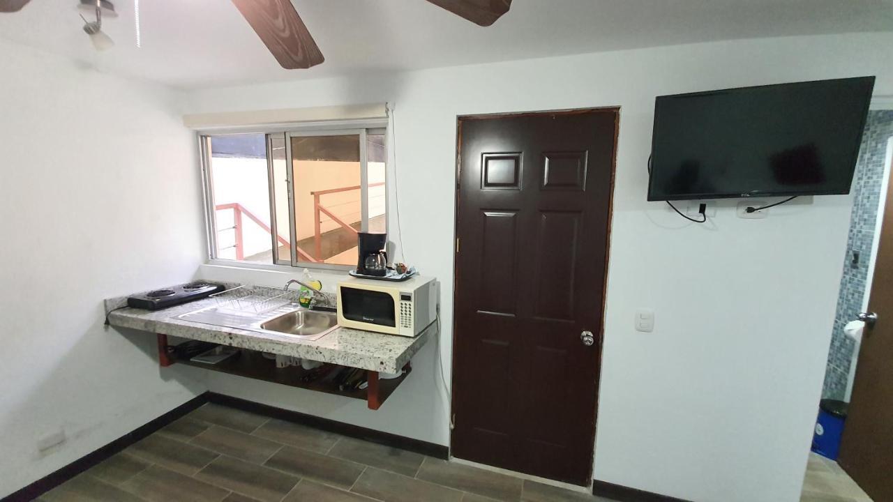 Studio with Garden View