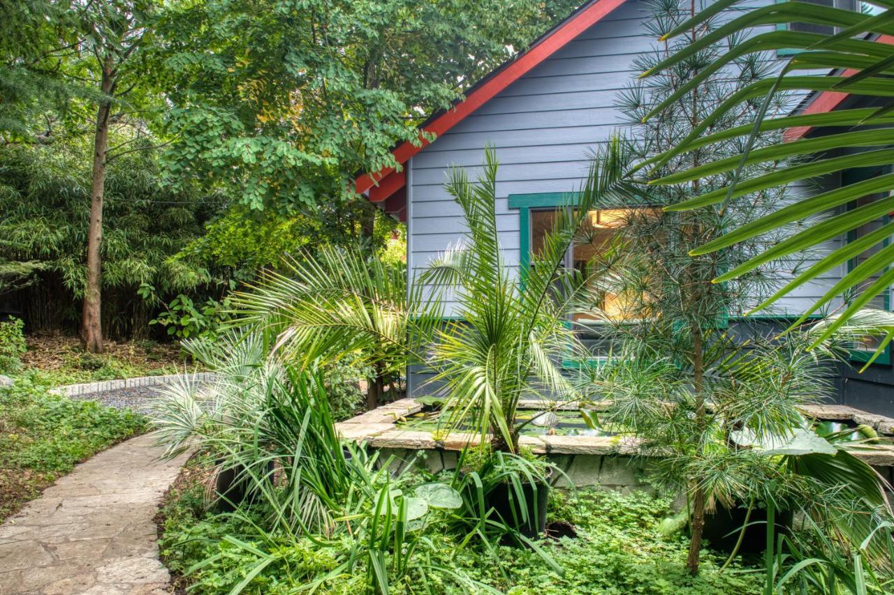 Studio Garden View