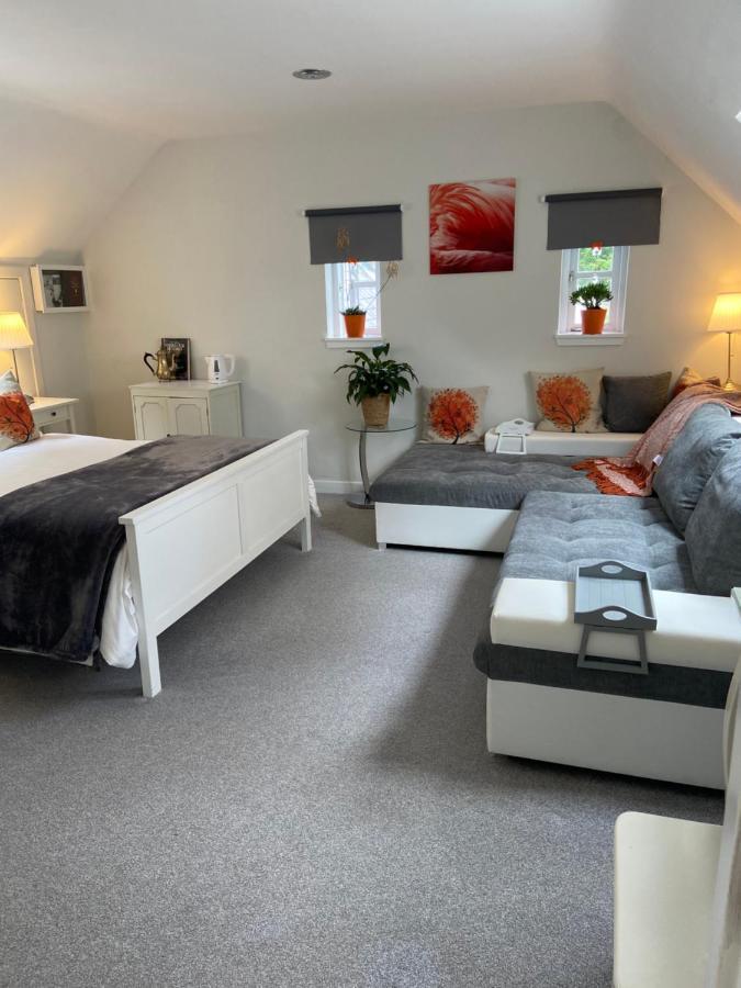 Junior Suite,1136037890:JPEG