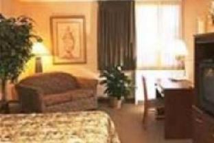 Deluxe King Suite - Non-Smoking