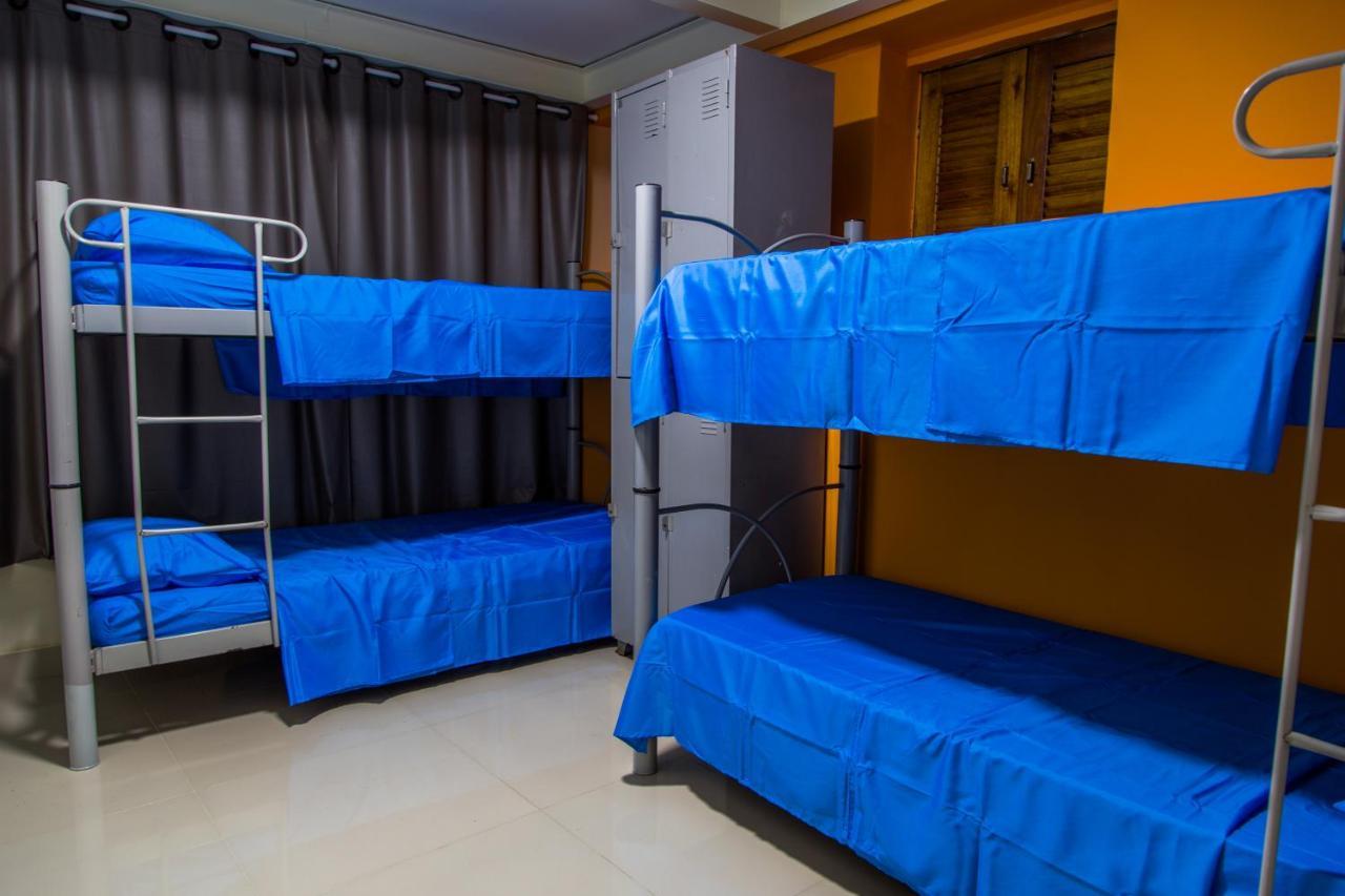 Bunk Bed Mixed Dormitory Room