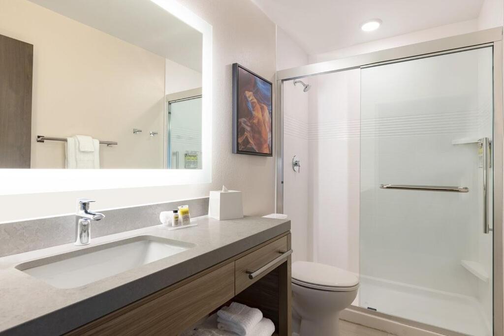 King Studio Suite