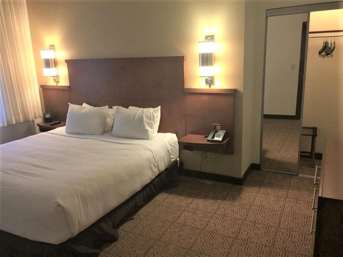 King Room Sofa Bed High Floor