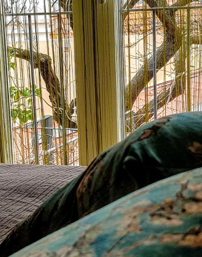 King Room with Garden View