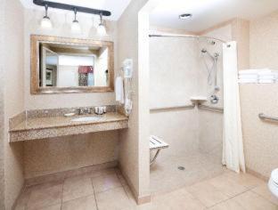King Room Roll Shower Disability Access