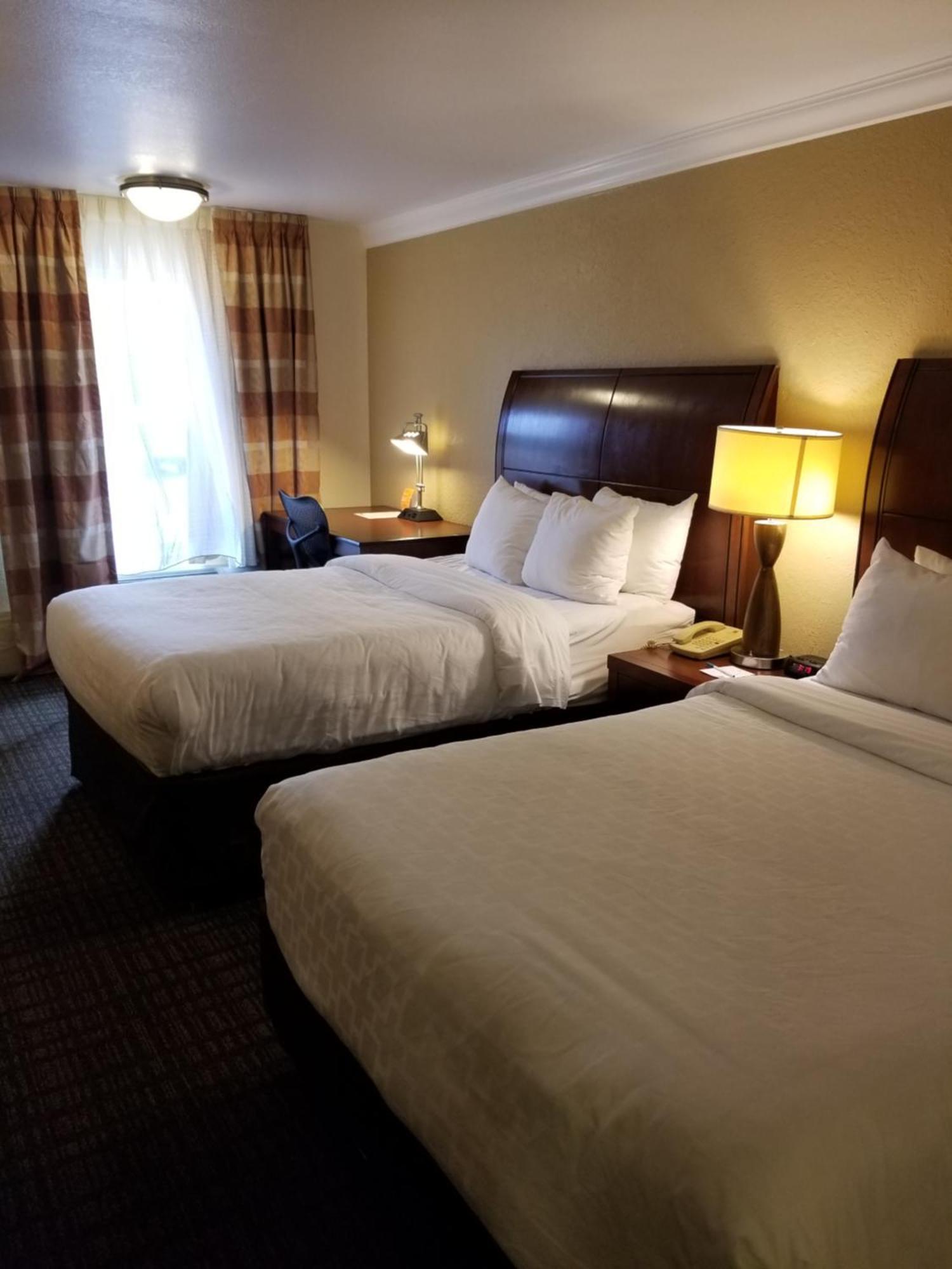 Double Room with Two Double Beds - Accessible/Non-Smoking