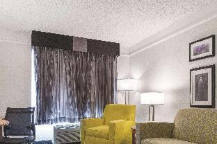 King Suite with Sofa Bed