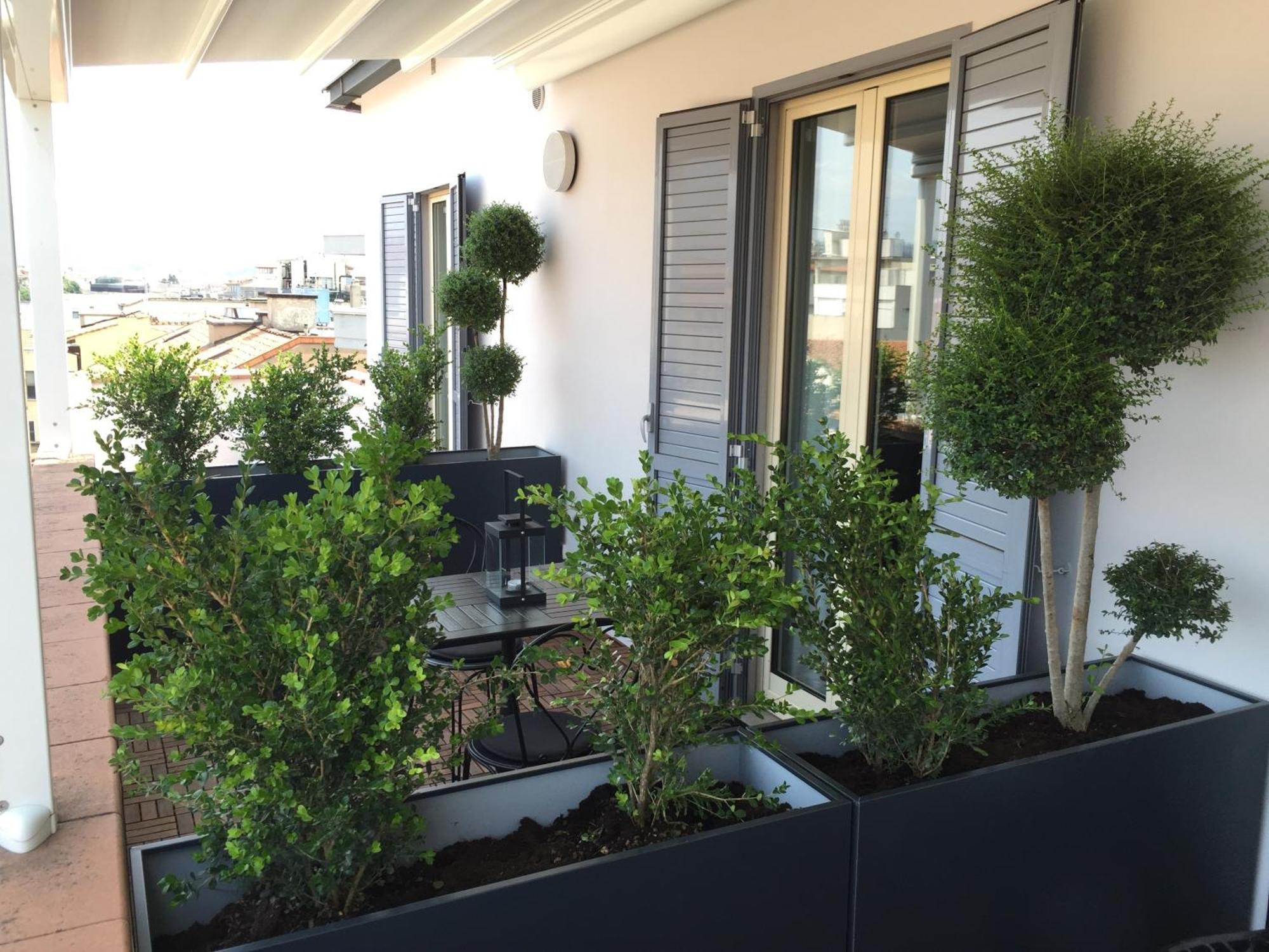Superior Double Room with Terrace