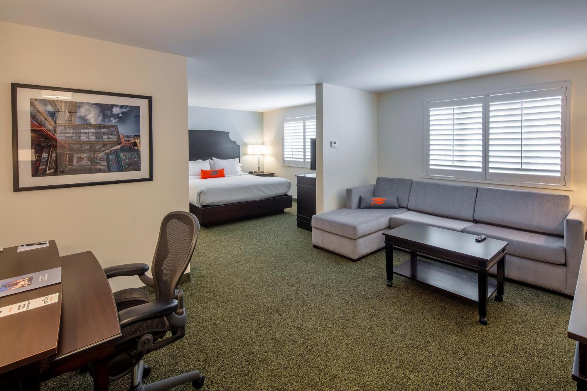 1 King Bed Deluxe Suite Non-Smoking