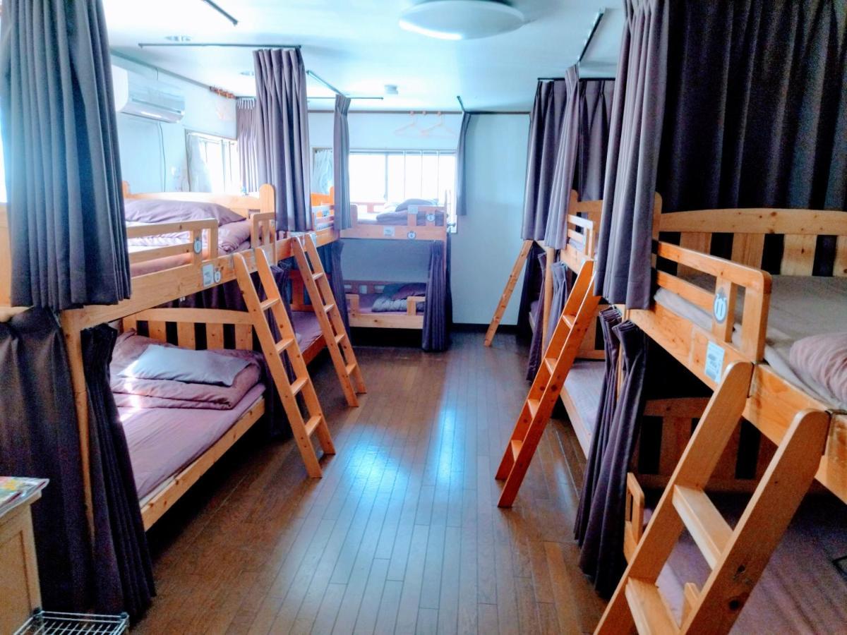 Bunk Bed Mixed Dormitory Room