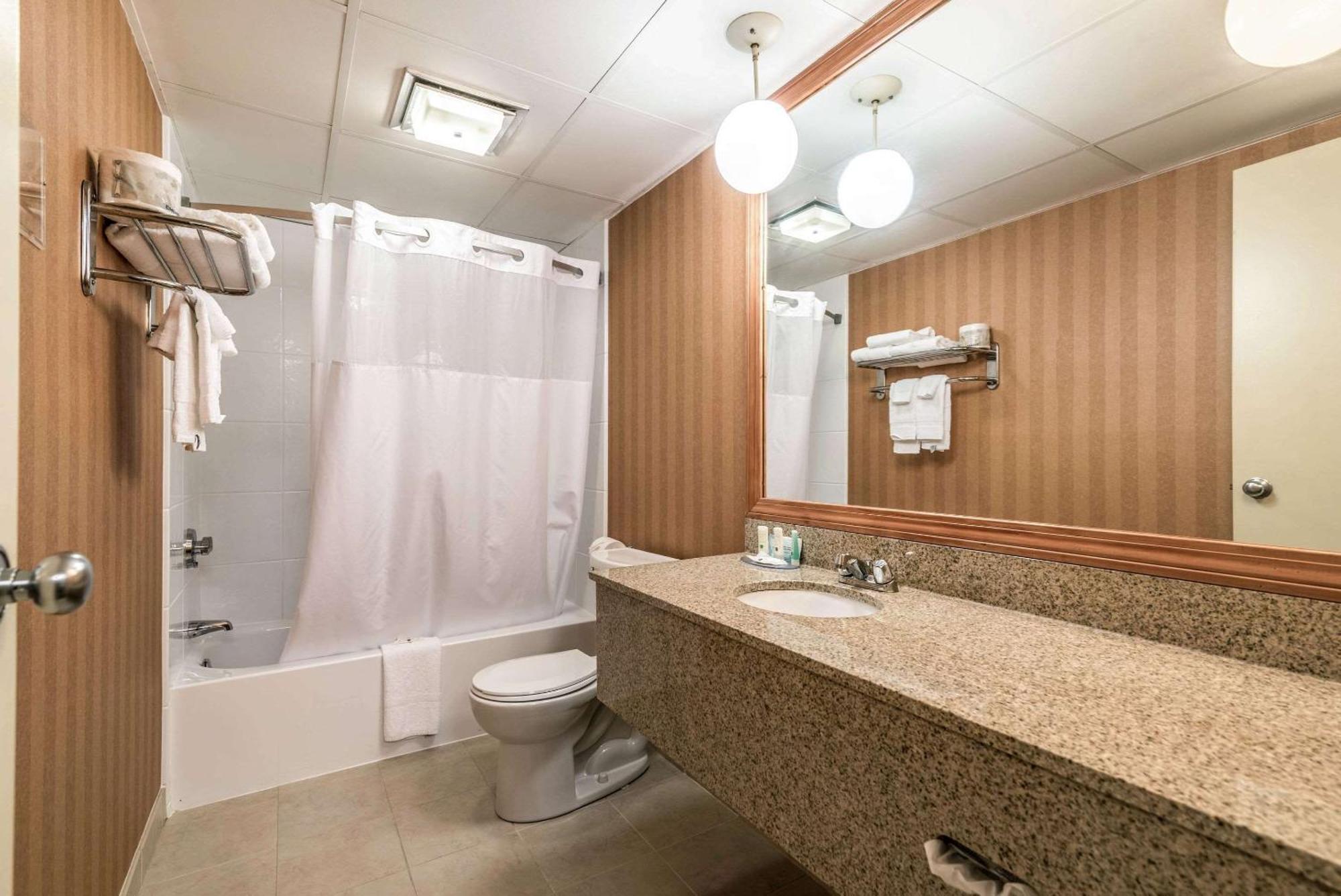 King Suite Non Smoking or Pet Friendly