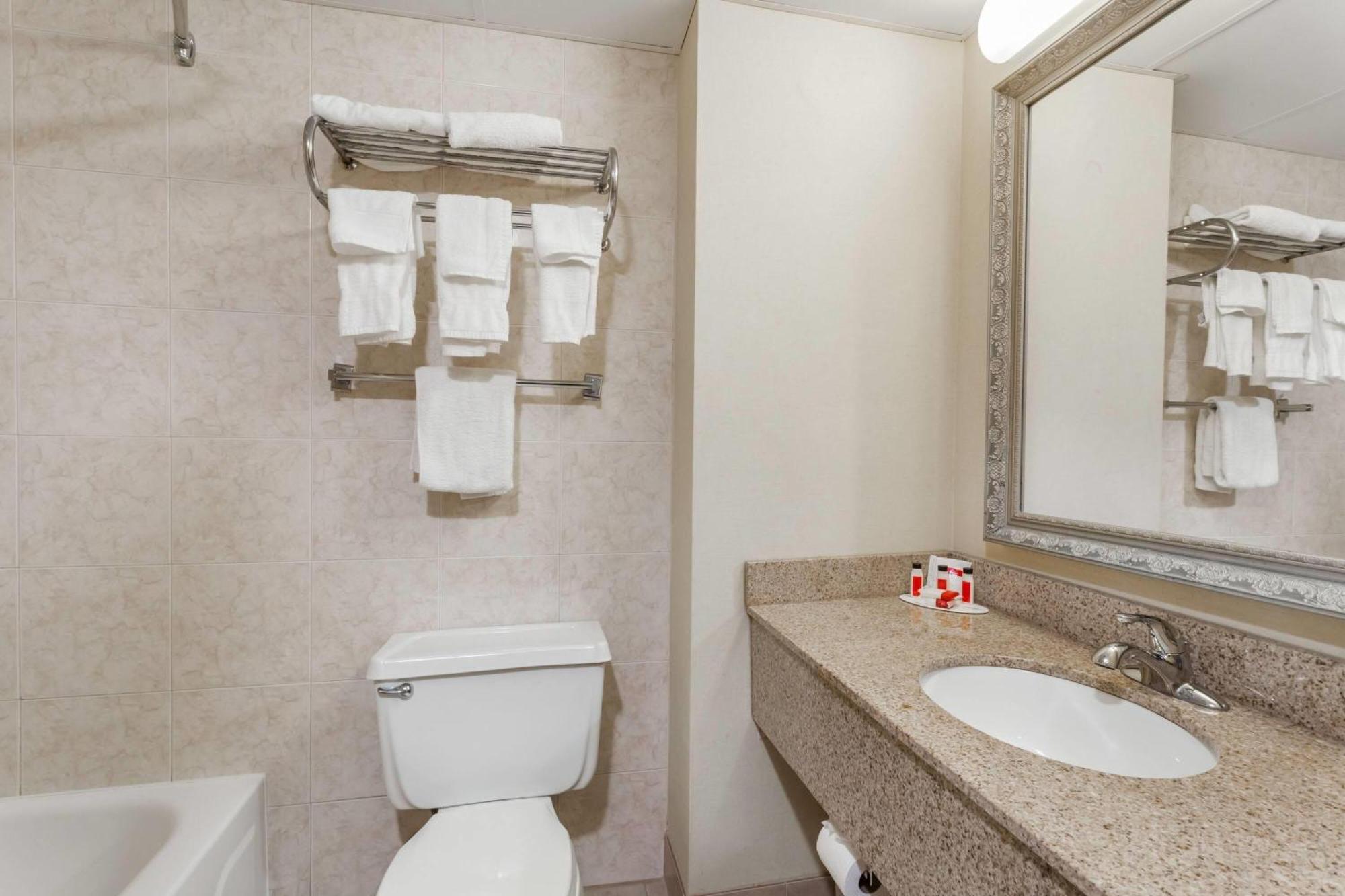 Deluxe King Studio Suite Non-Smoking
