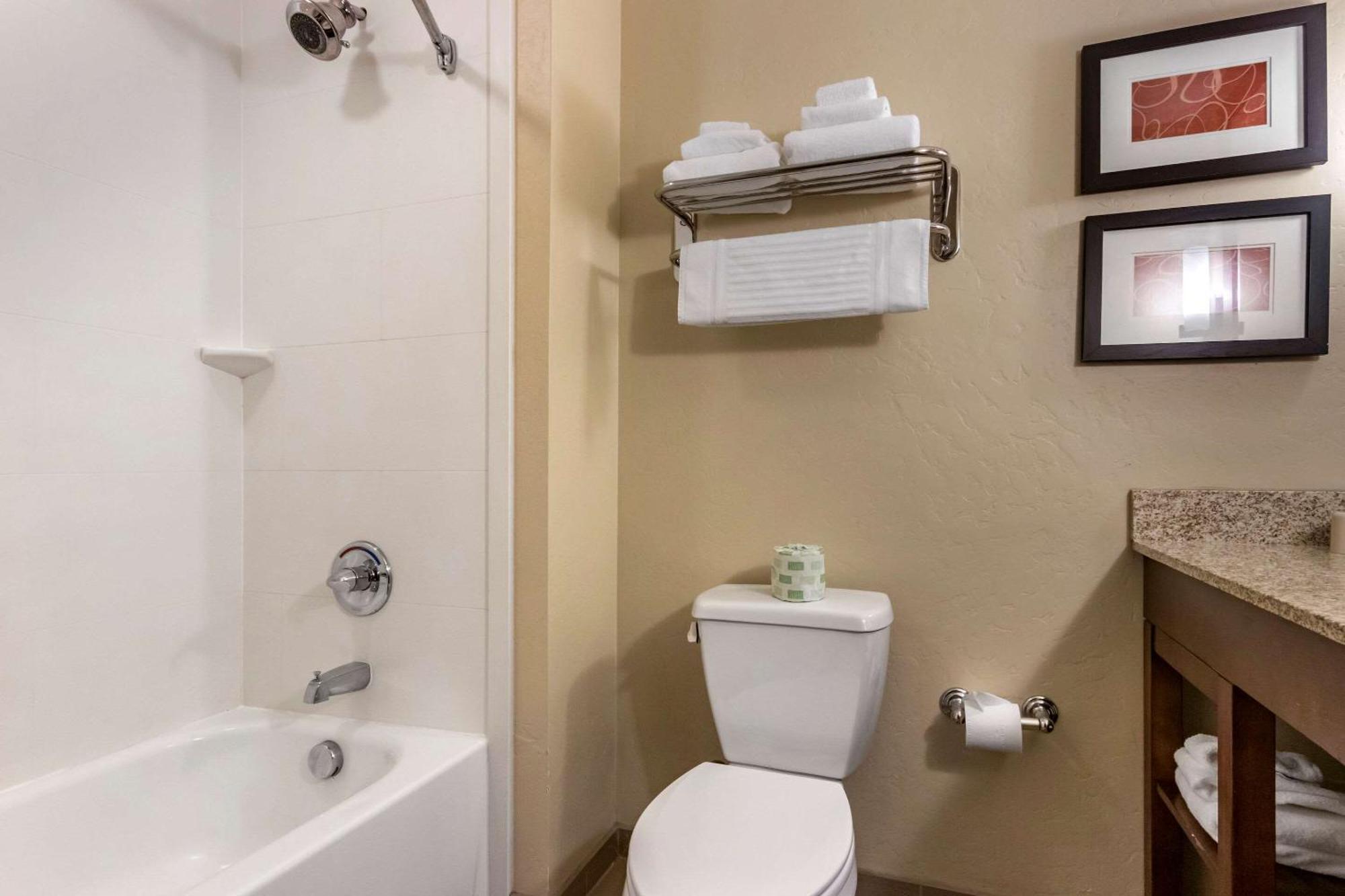 One Room Suite Two Queen Beds Mountain View Non Smoking