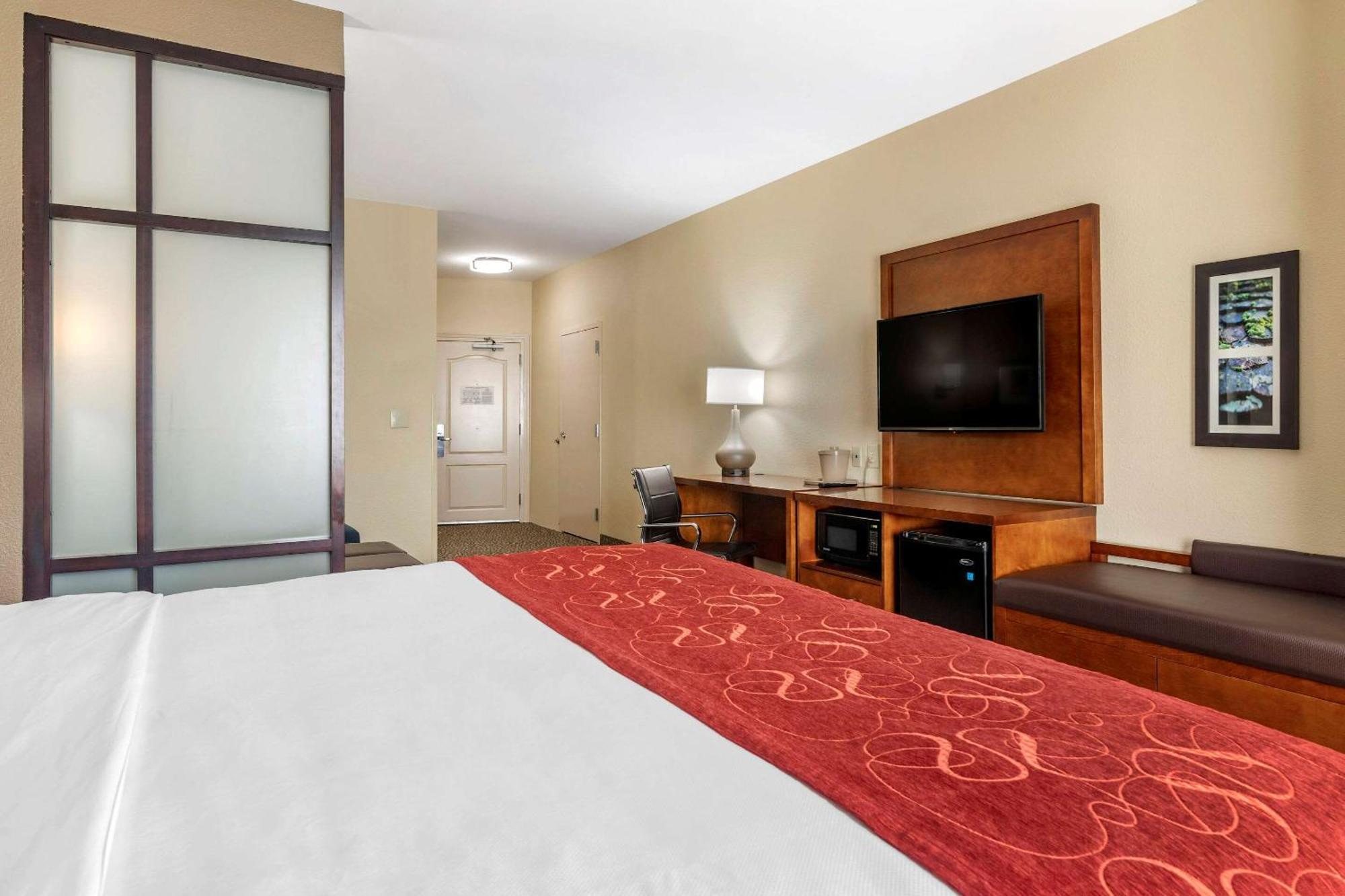 King Suite Roll Shower Accessible or Non-Smoking