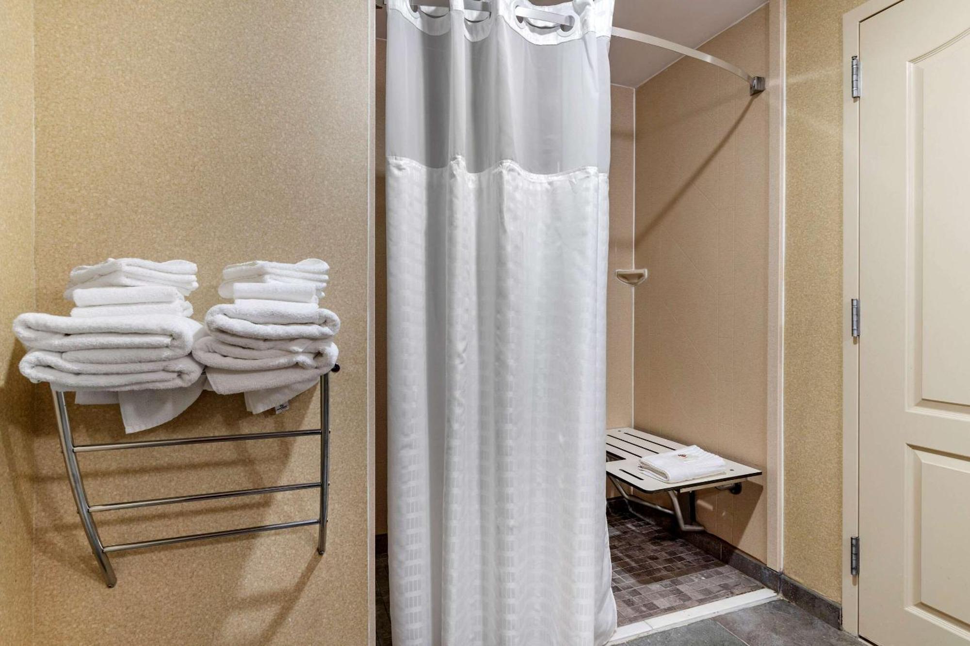 King Suite Roll Shower Accessible or Non-Smoking