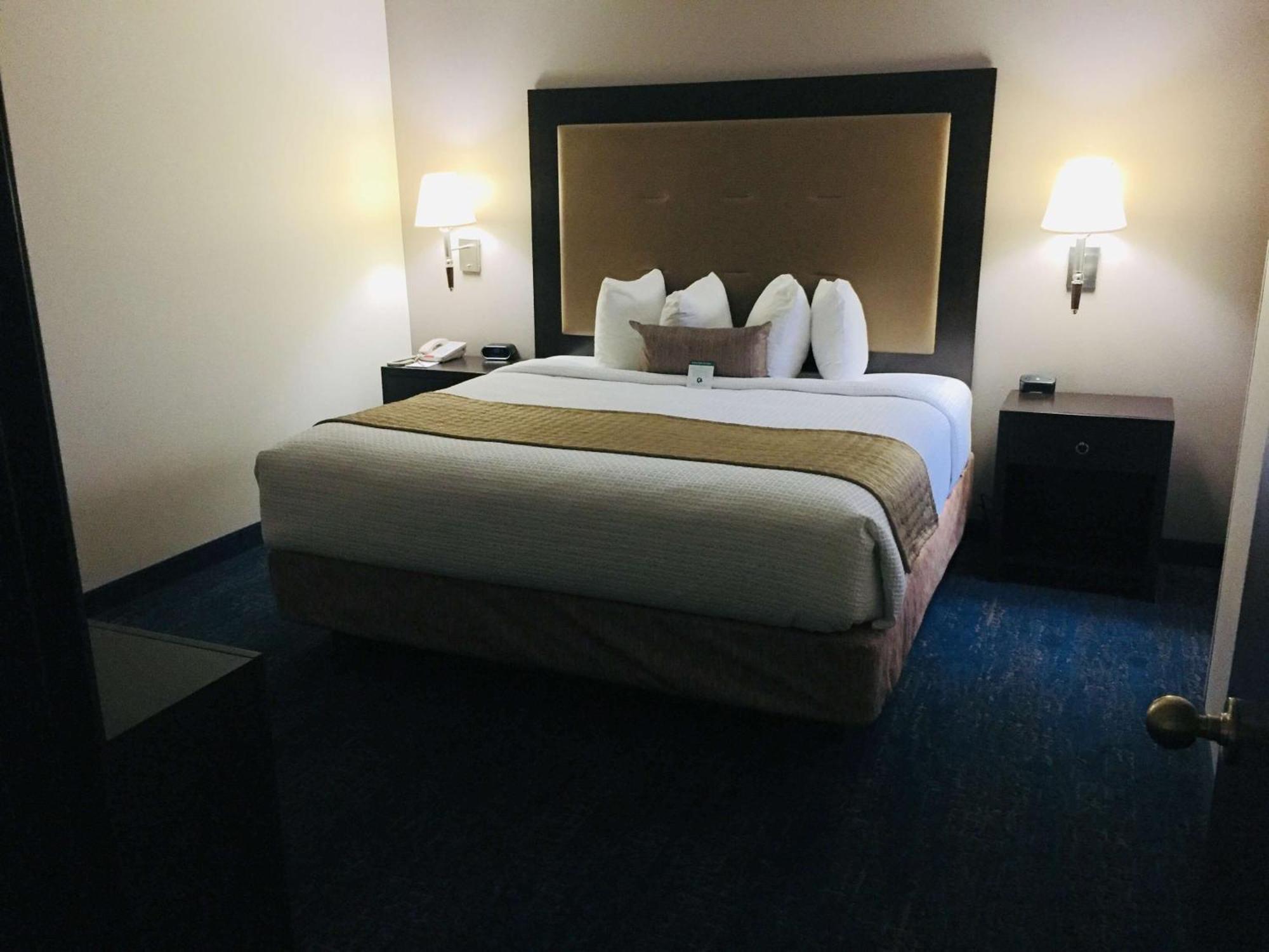 One-Bedroom King Suite