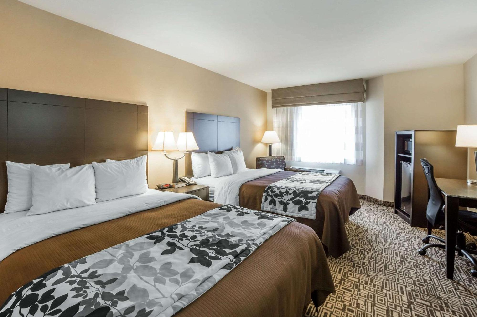 Standard Queen Room Two Queen Beds walk shower non-smoking