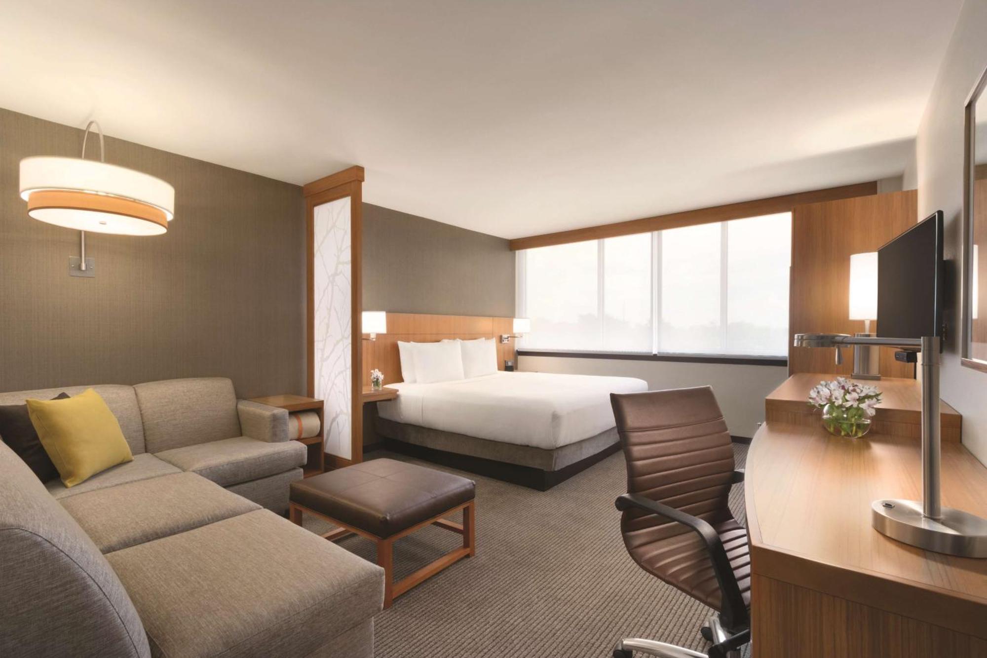 King Room Sofa Bed High Floor