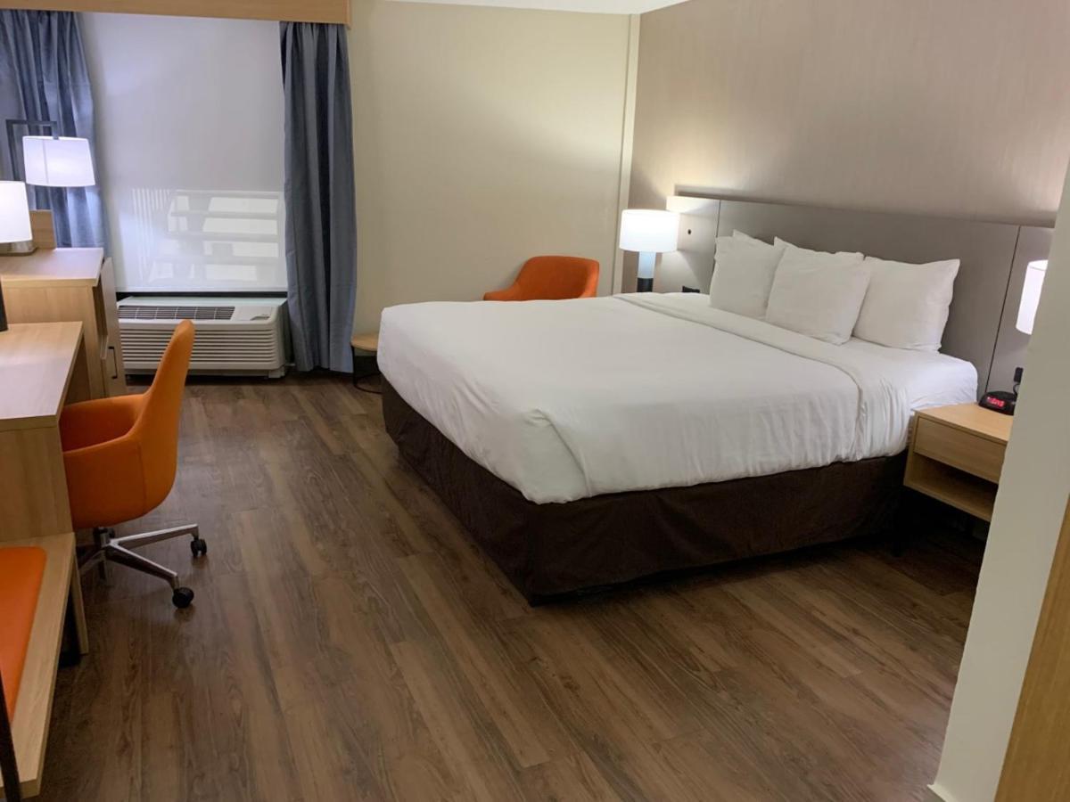 King Room - Non-Smoking
