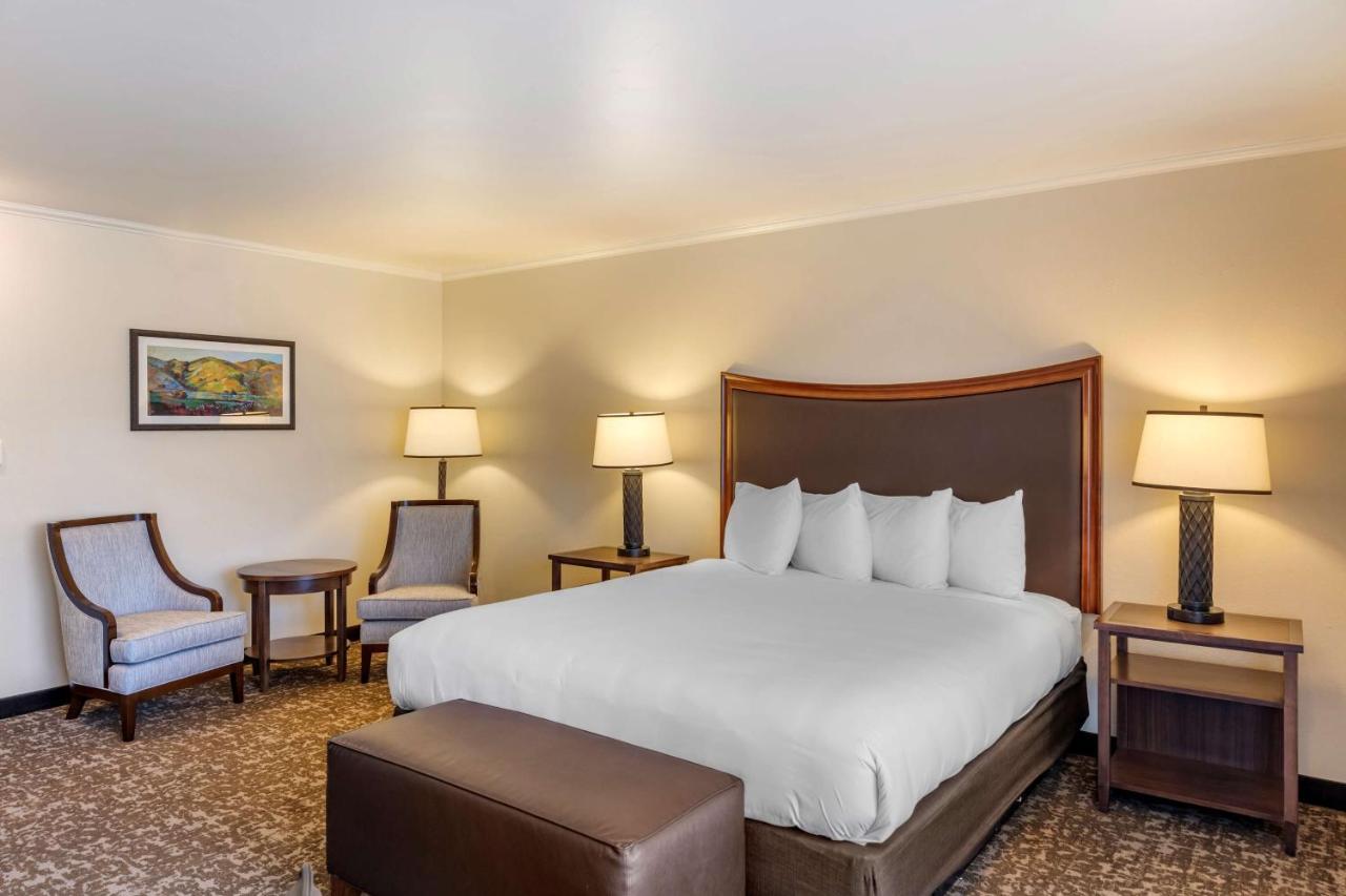 Oversize King Room - Non-Smoking