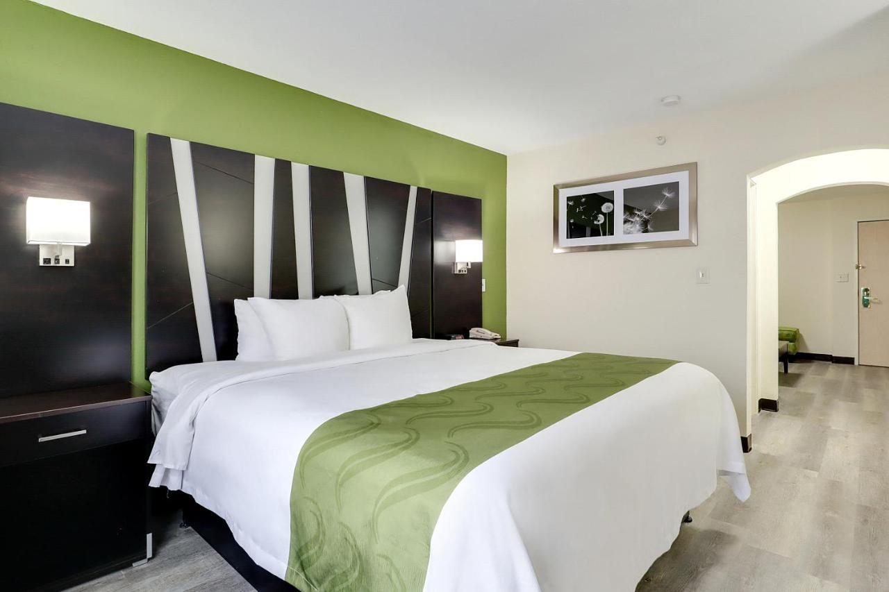 King Suite - Accessible/Non-Smoking
