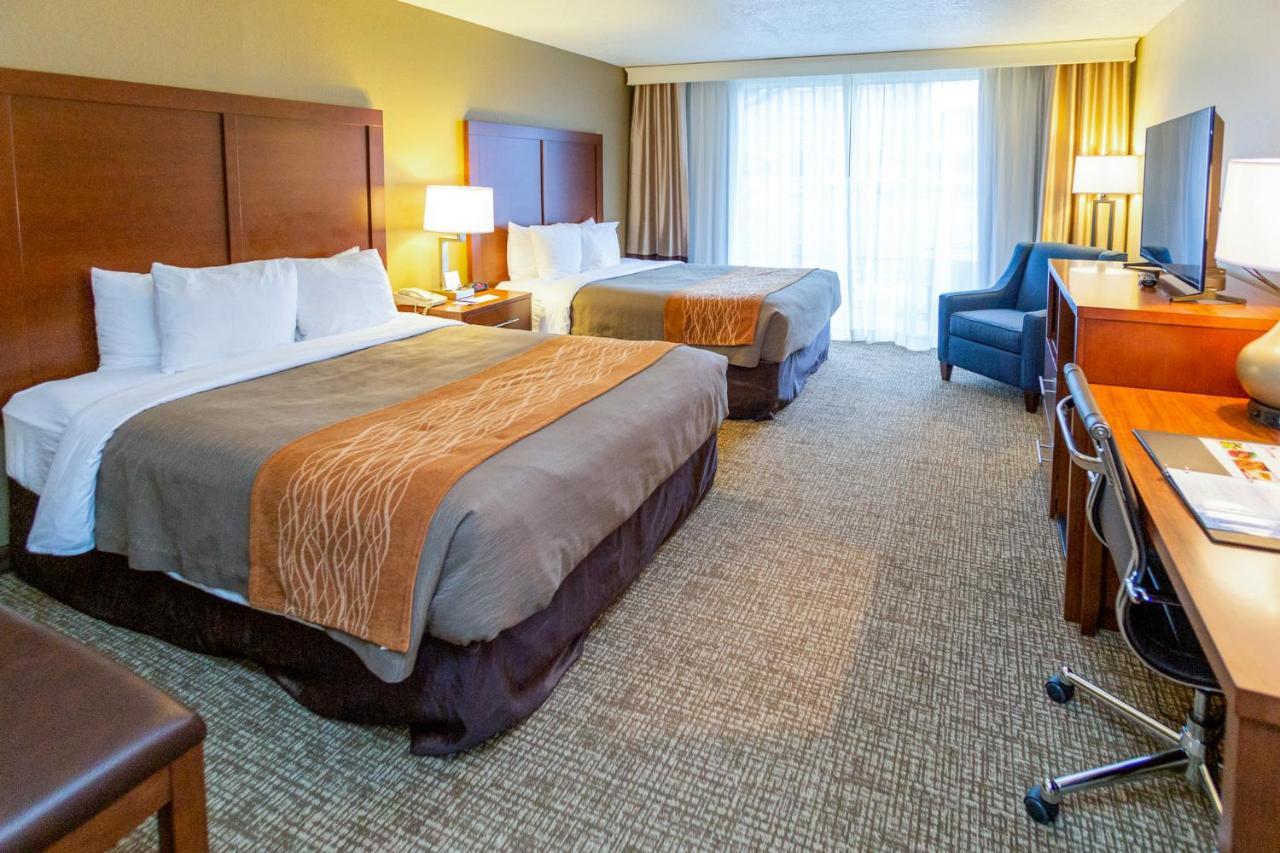 Queen Room with Two Queen Beds - Non-Smoking