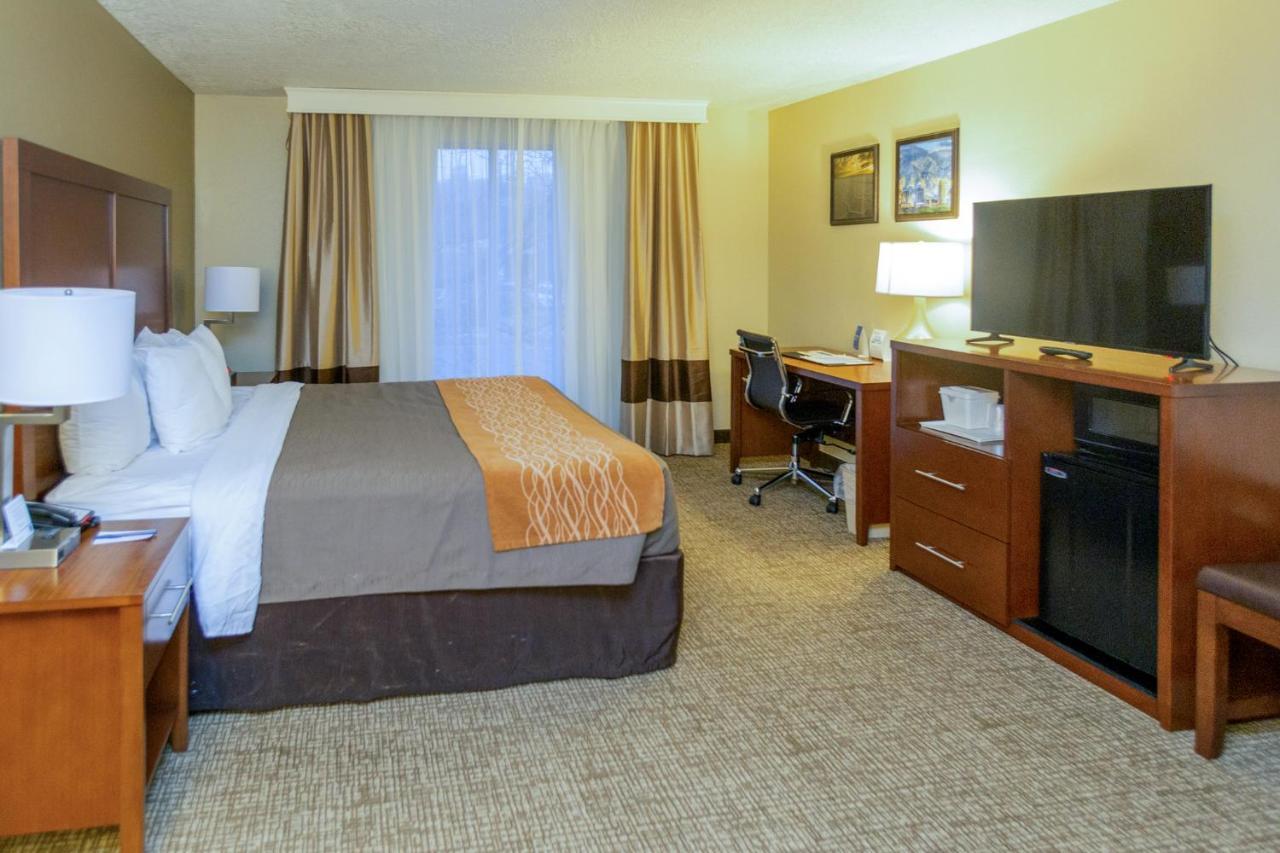 Standard King Room - Non-Smoking
