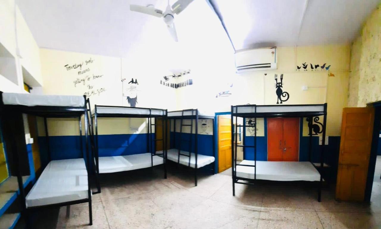 Bed in 8-Bed Mixed Dormitory Room