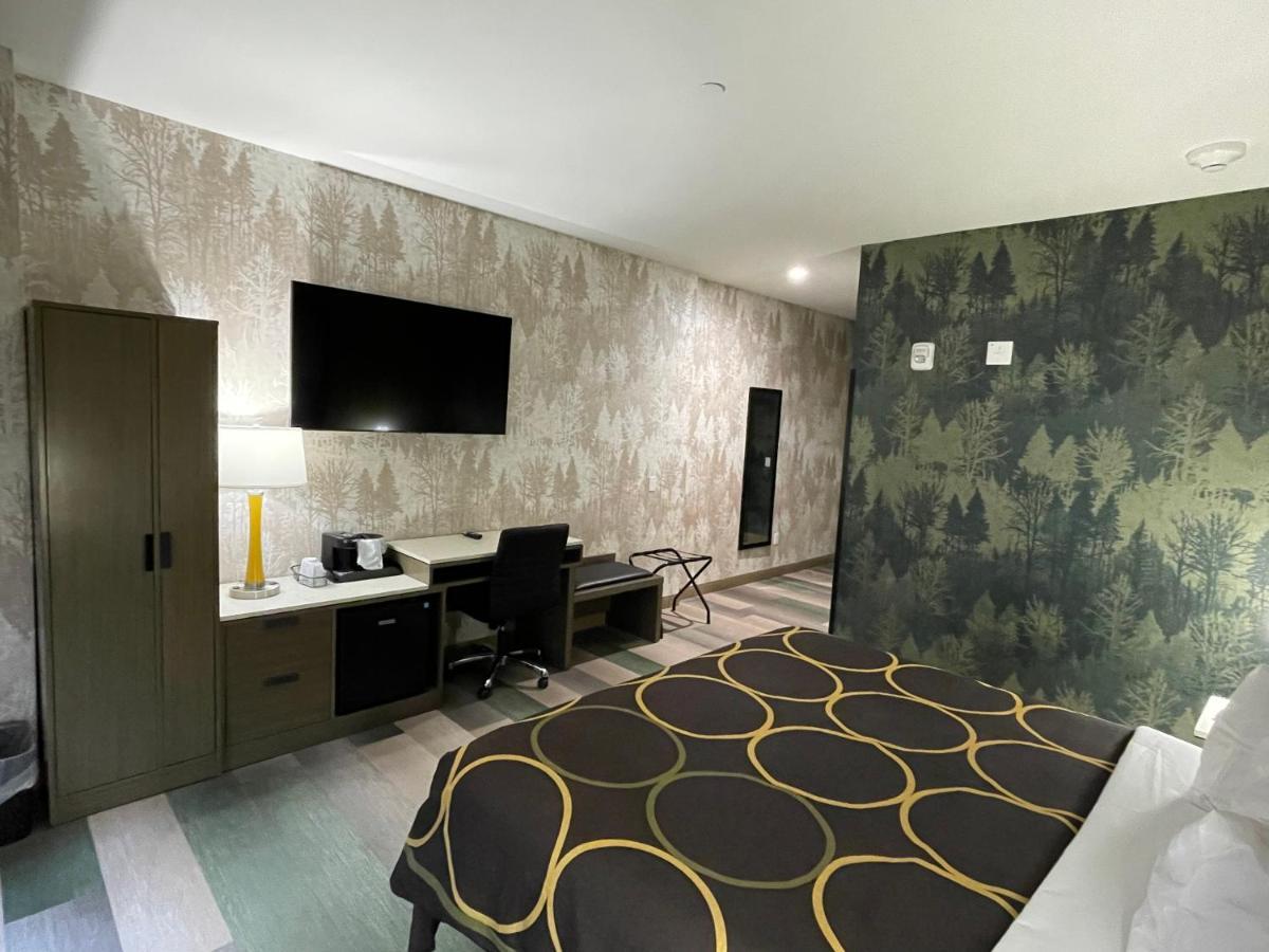 King Room with Roll-in Shower - Mobility Access/Non-Smoking