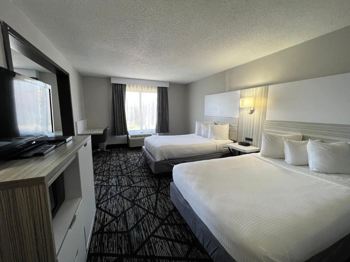 4 Double Beds Studio Suite Non-Smoking