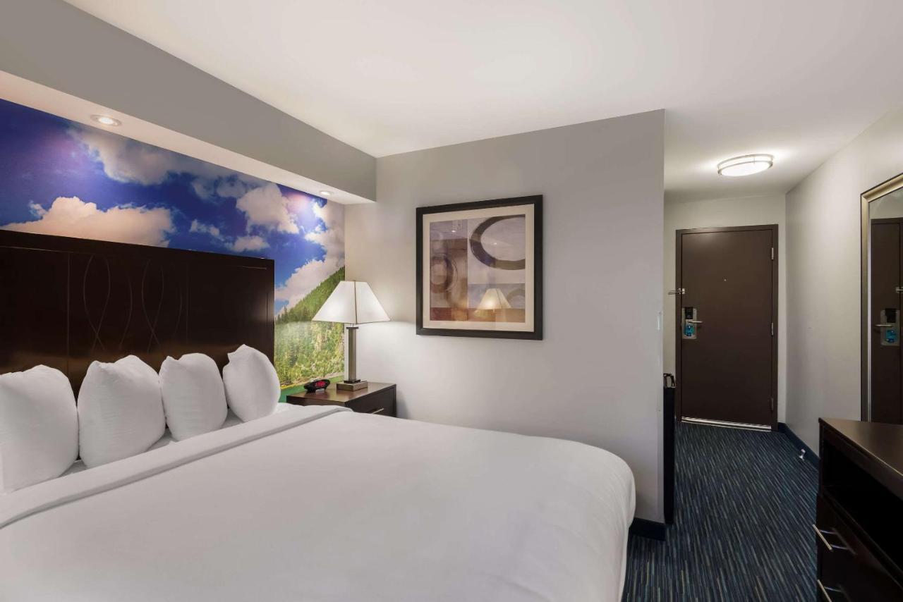 Queen Room Roll--Shower Accessible or Non-Smoking