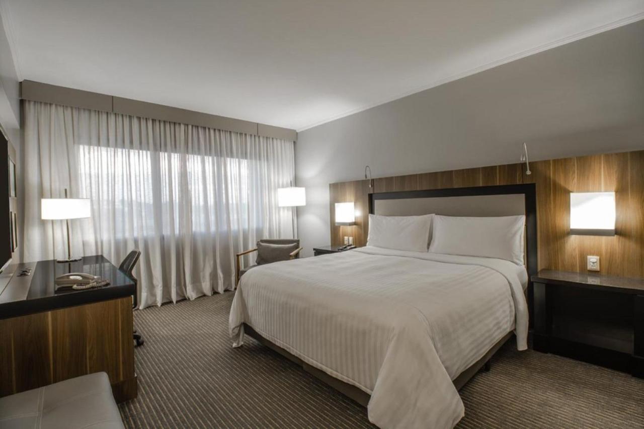 Executive King Guest Room Lounge Access