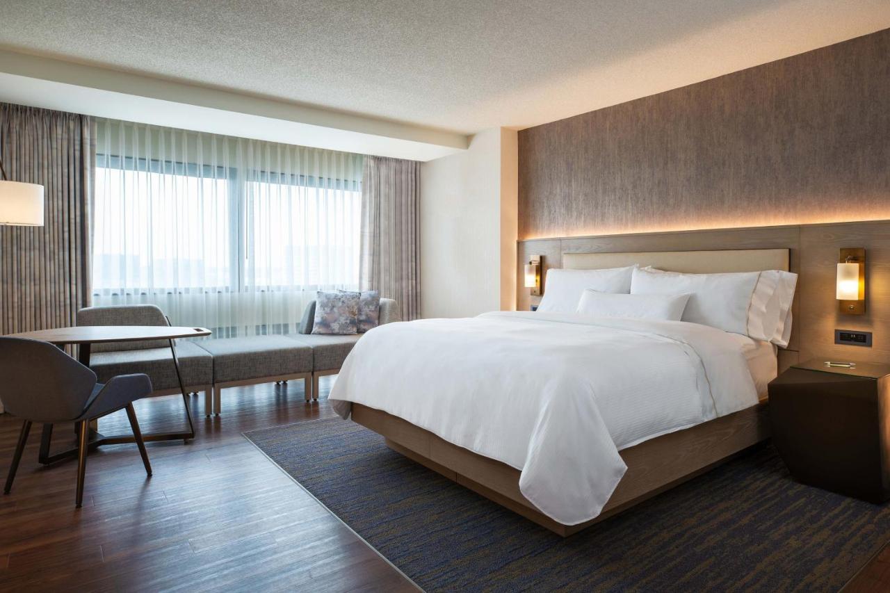 Room 1 King Bed