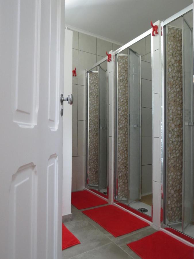Bunk Bed in Mixed Dormitory Room