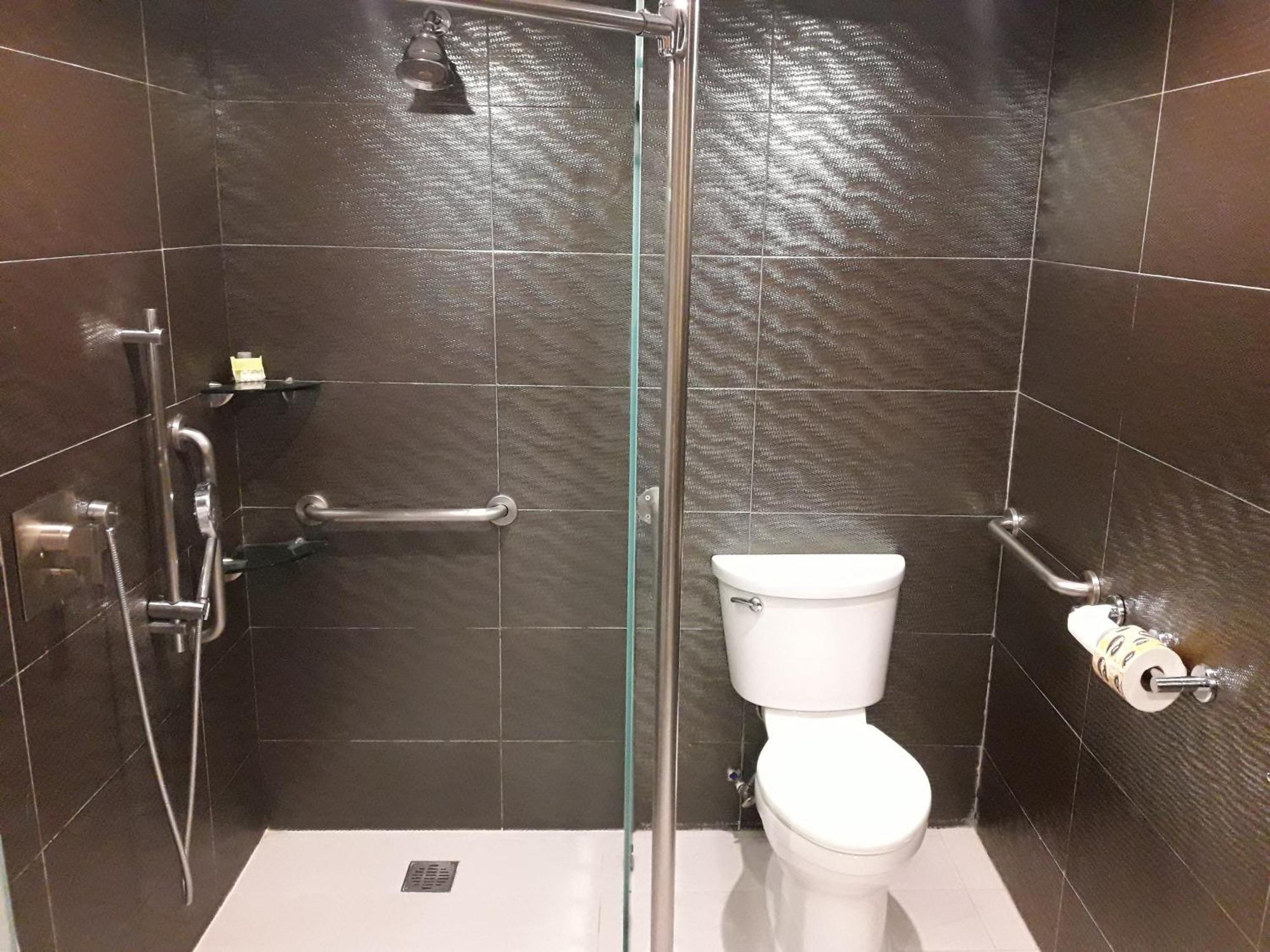 Standard King Room Accessible