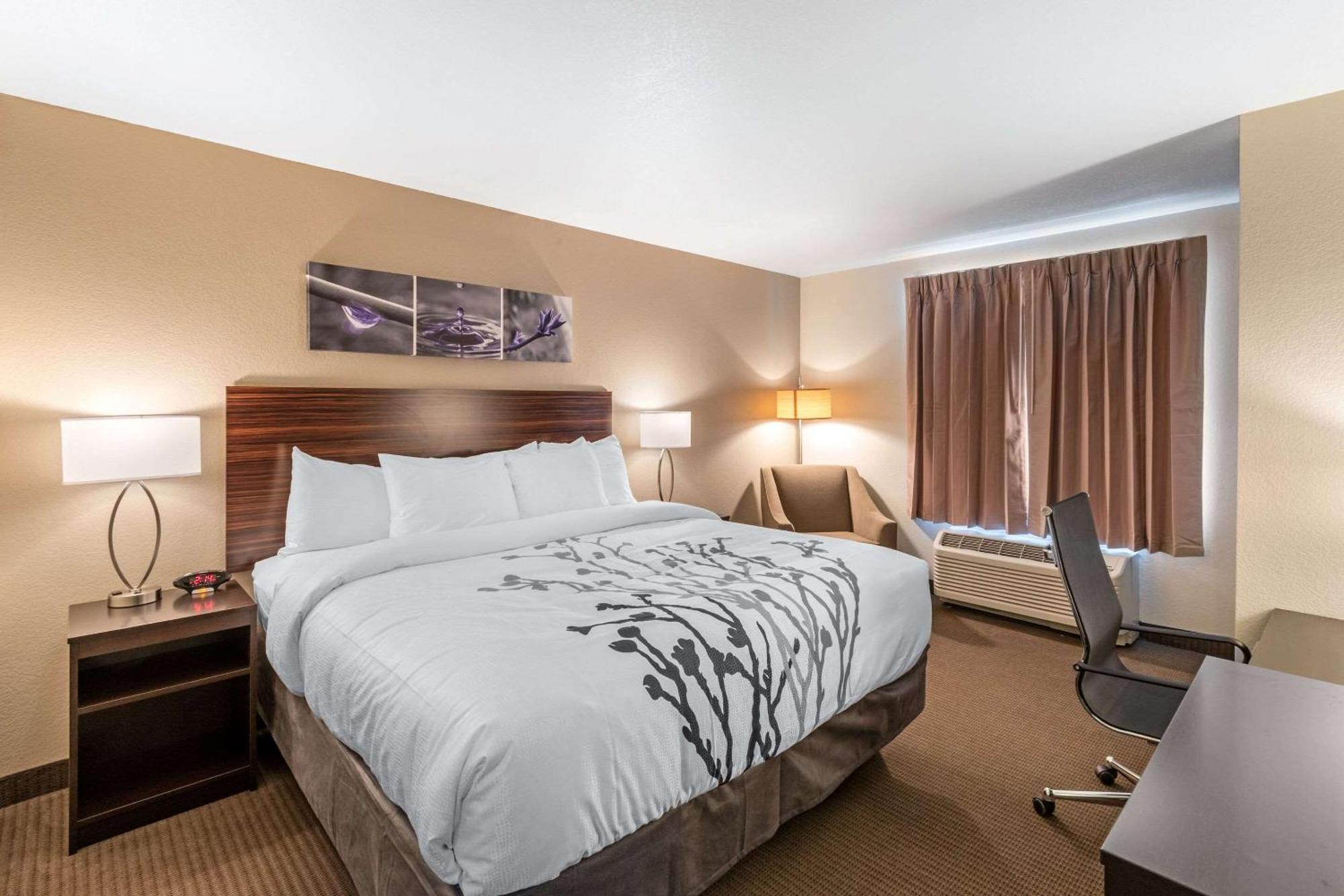 King Suite with Sofa Bed - Non-Smoking