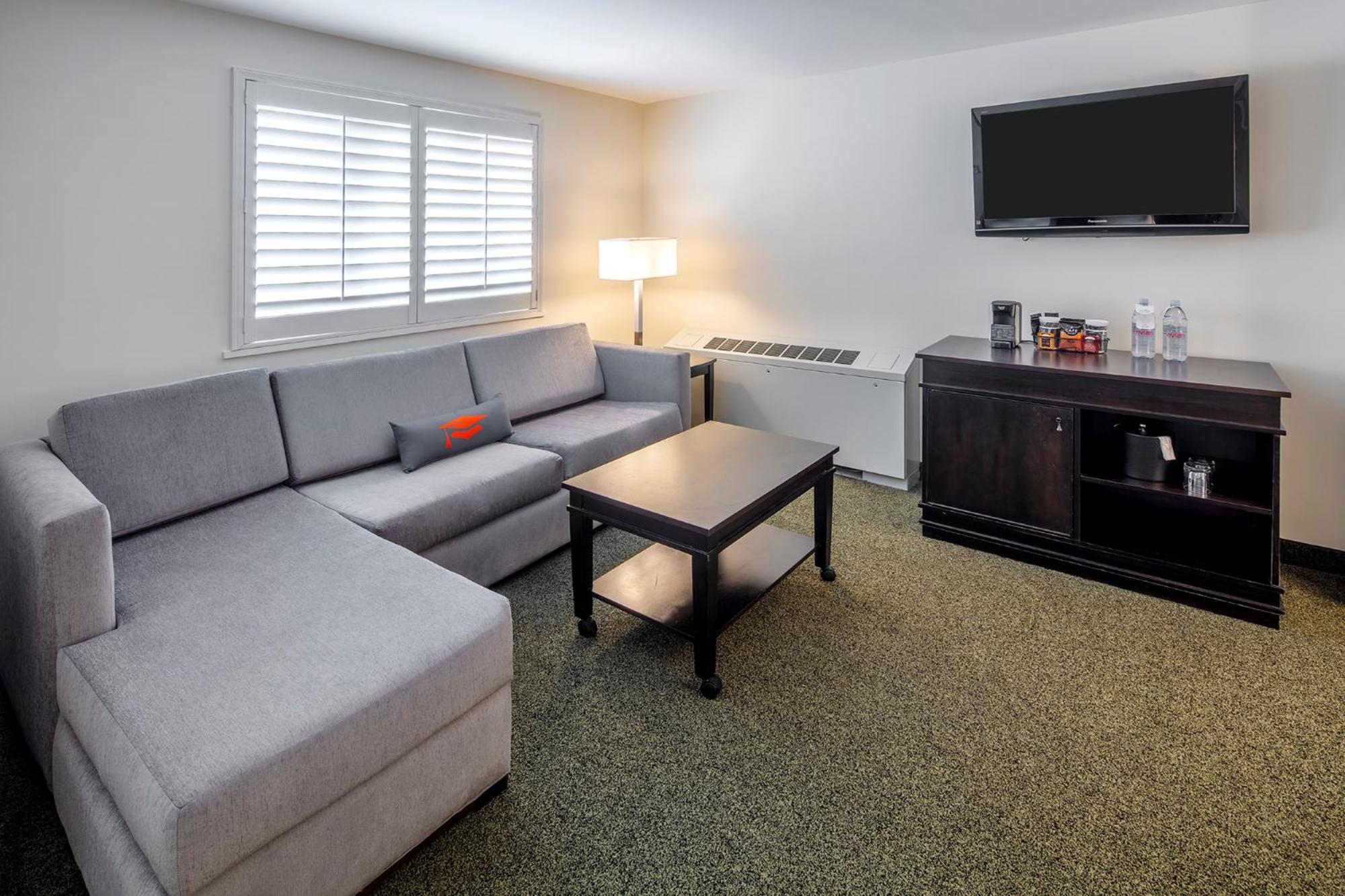 1 King Bed Deluxe Suite Non-Smoking