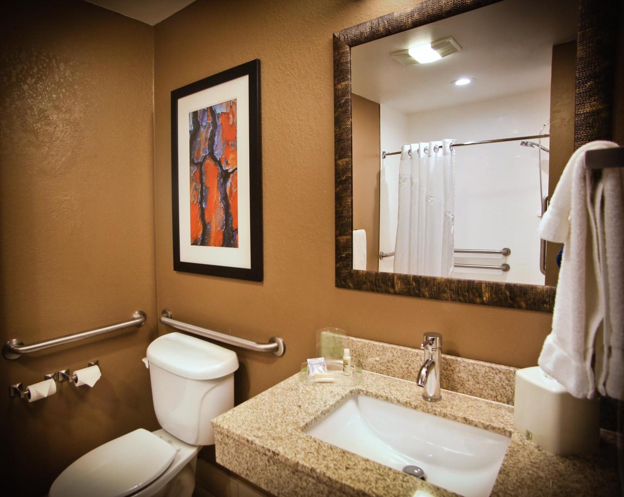 King Room Mobility Accessible Roll Shower Non-Smoking