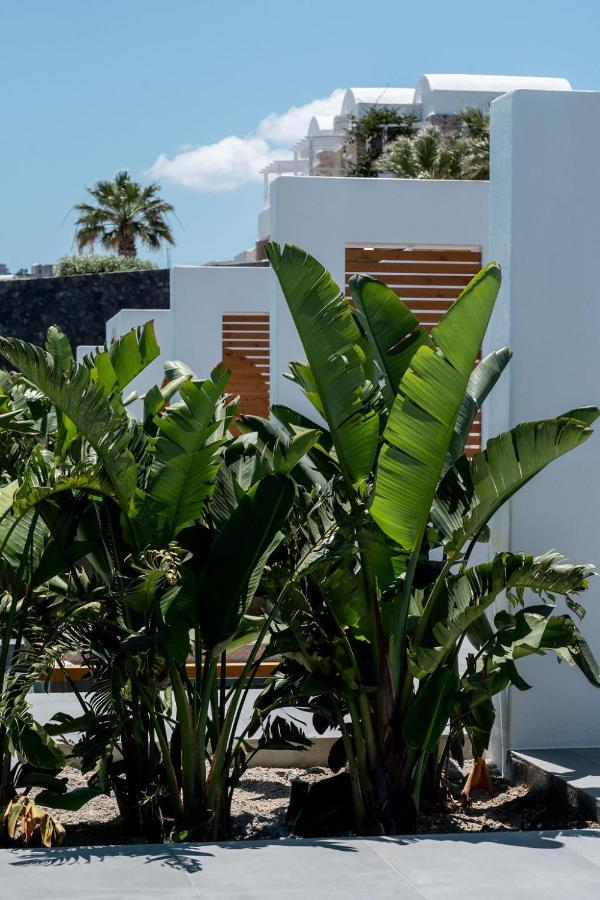 Signature One Bedroom Villa Private Pool