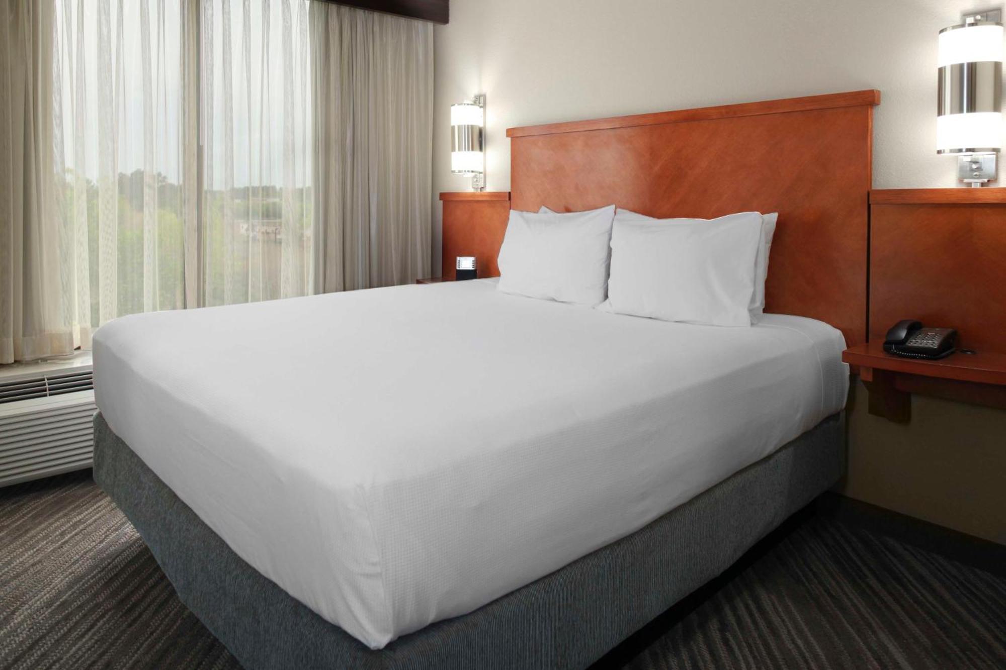Specialty King Room Sofa Bed