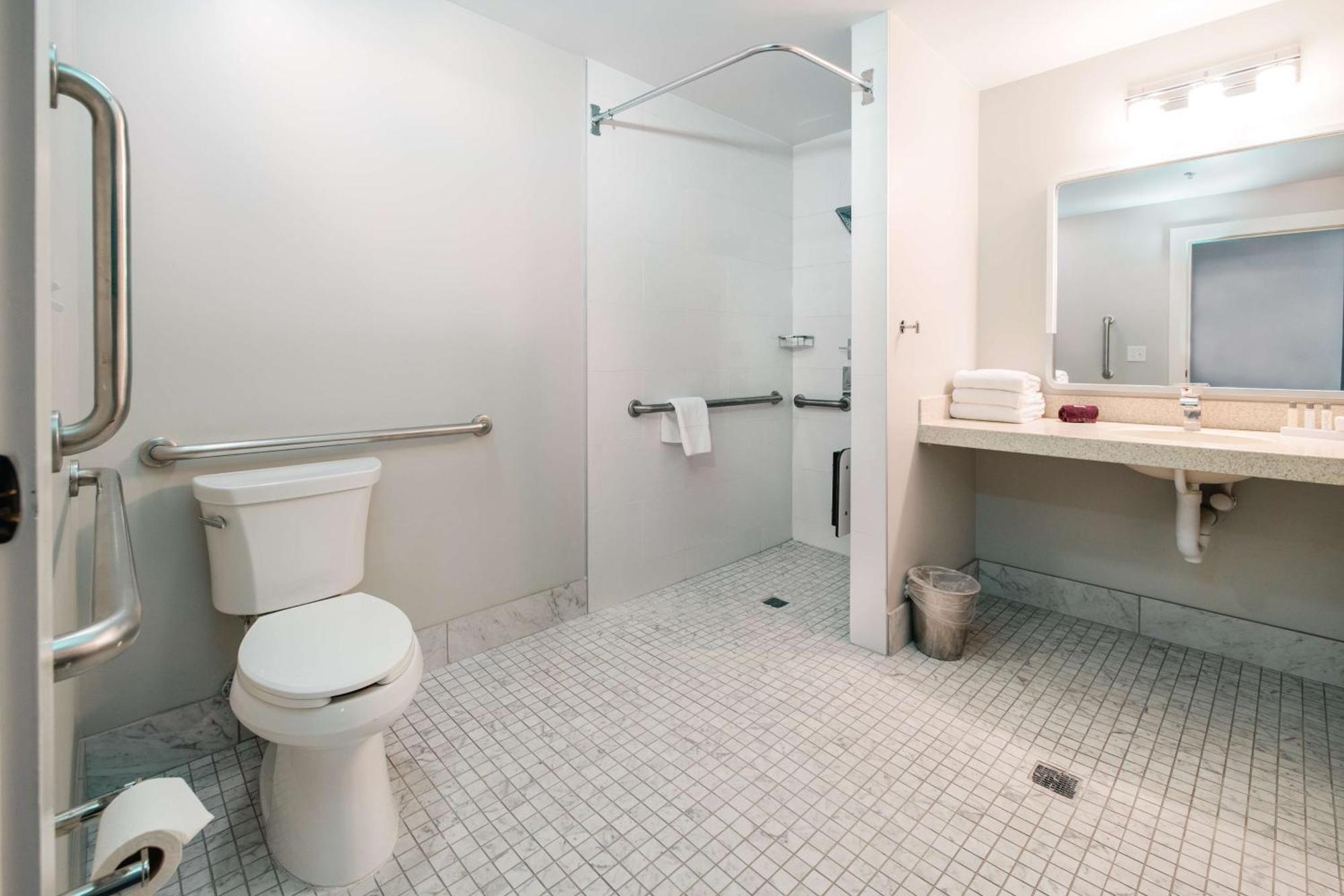 King Room Roll Shower Mobility Access