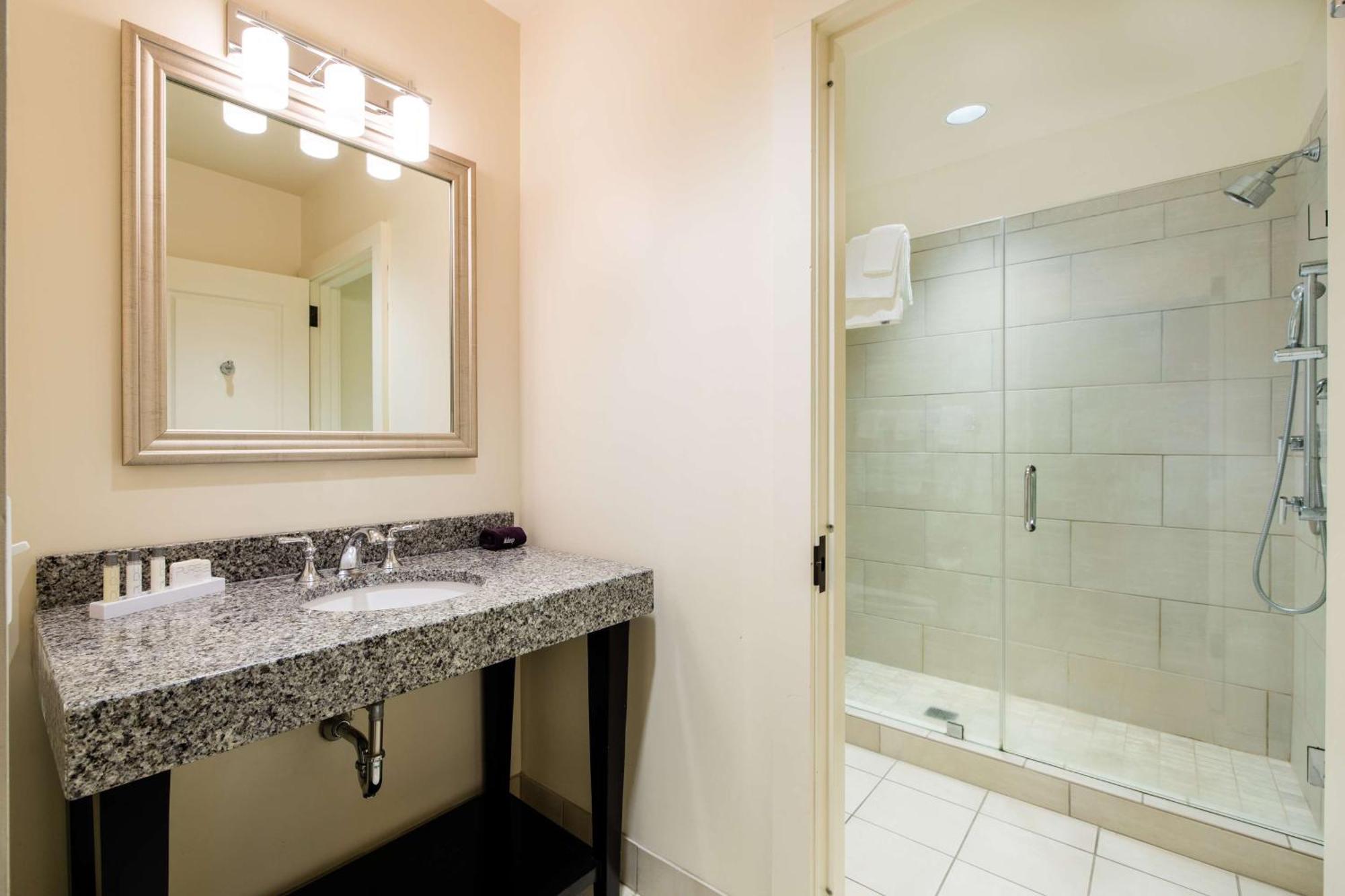 One-Bedroom King Suite
