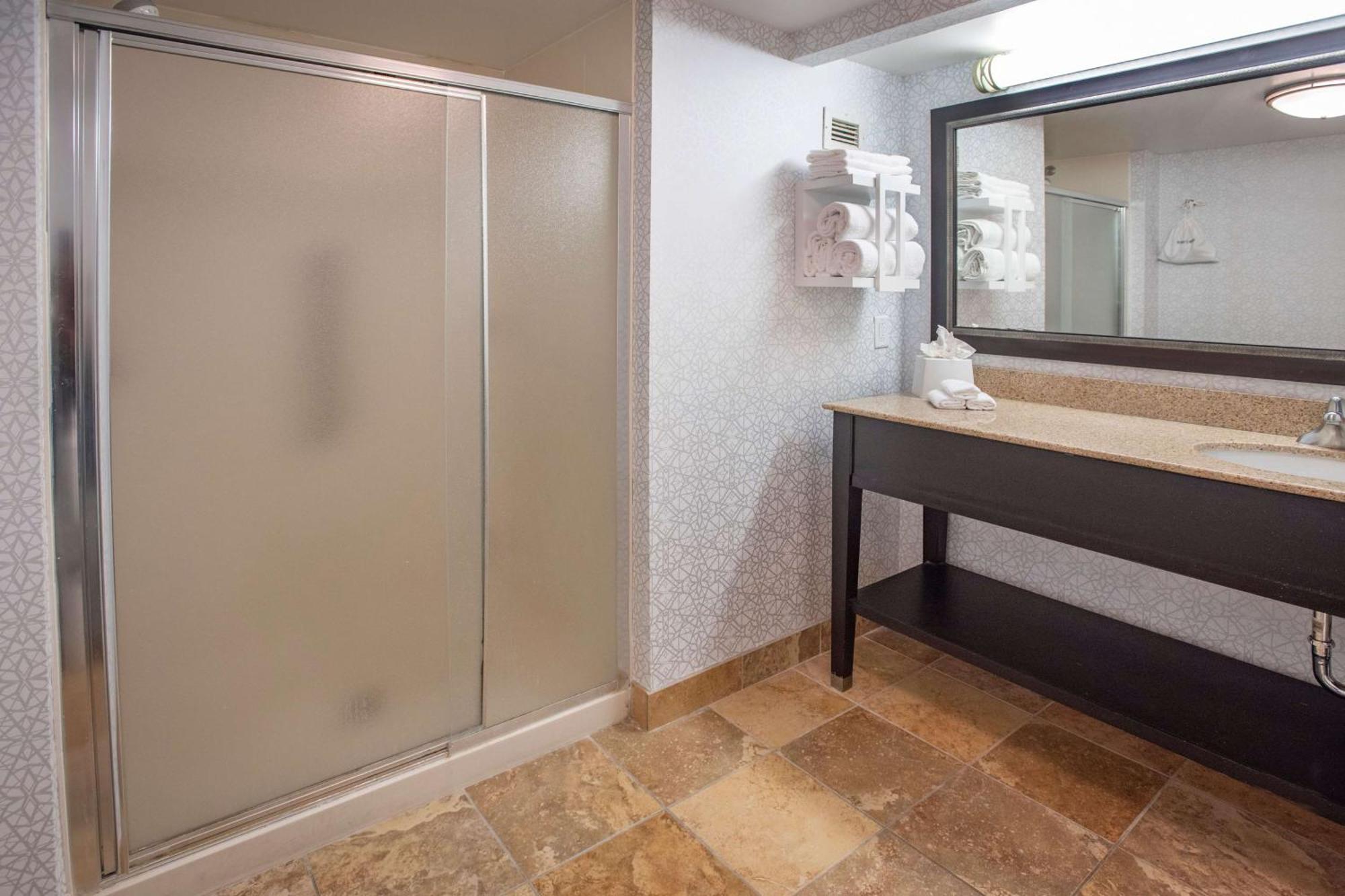One-Bedroom King Suite Non-Smoking