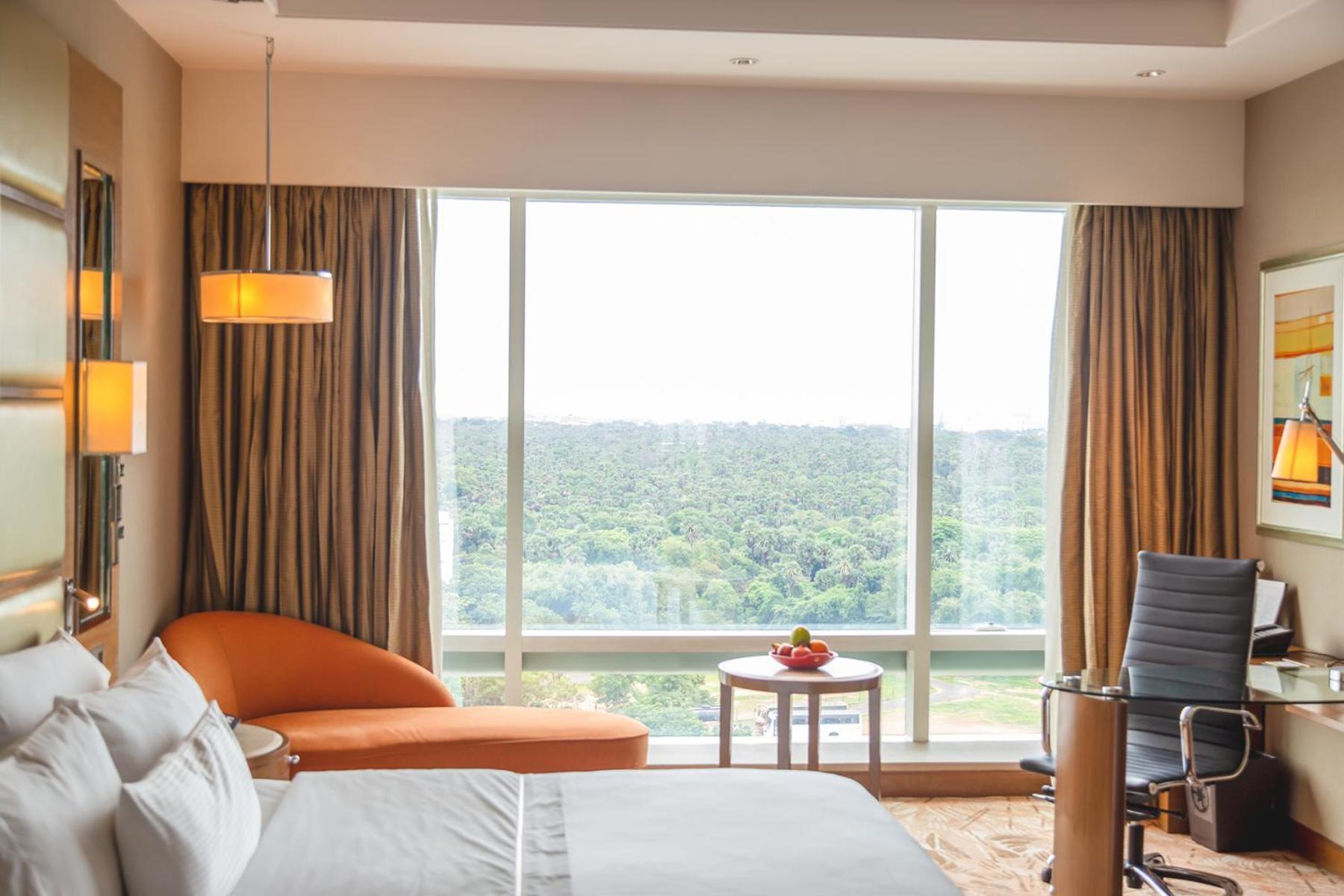 Executive King Guest Room Executive Lounge Access