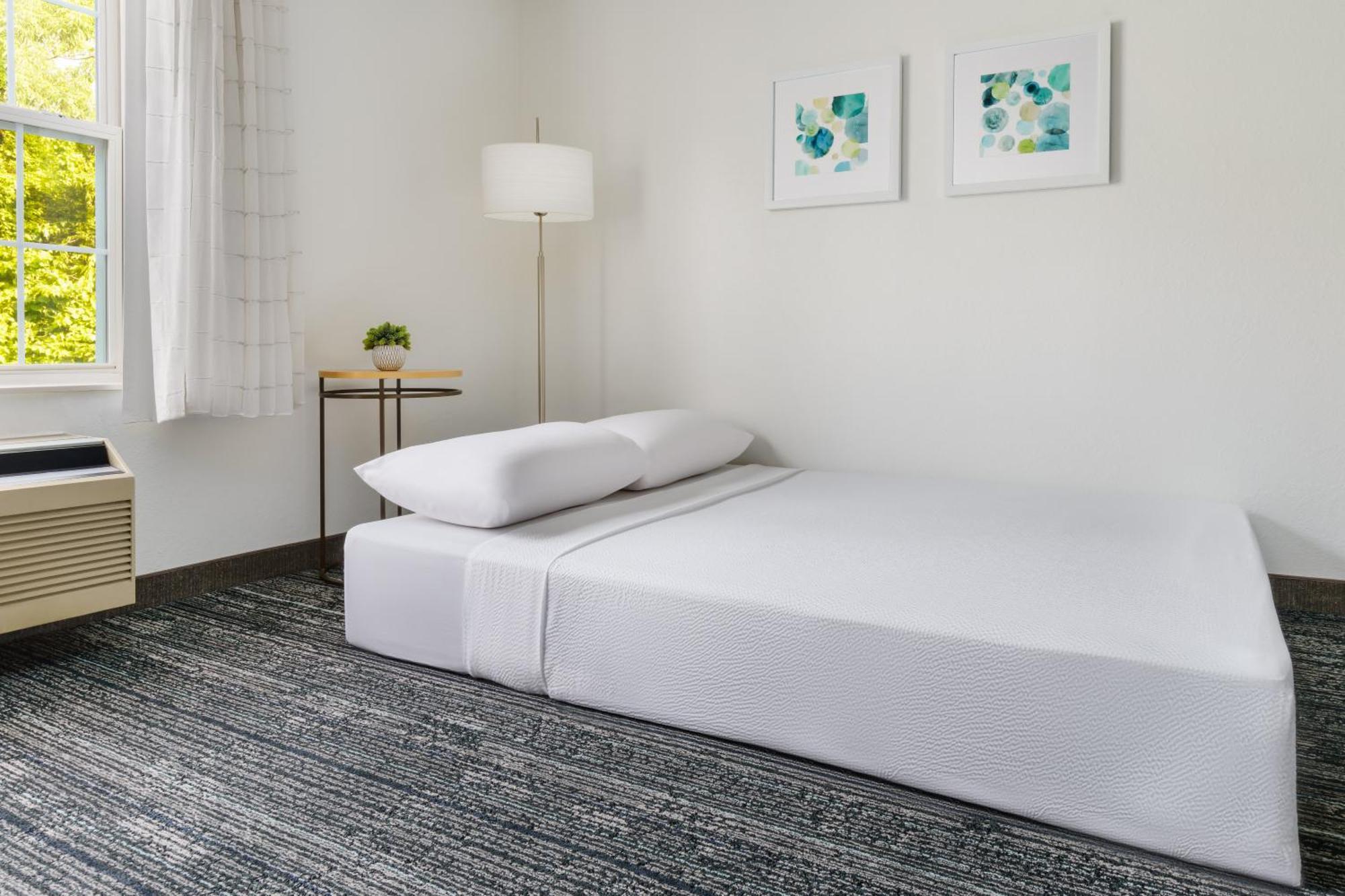 Queen Studio Sofa Bed