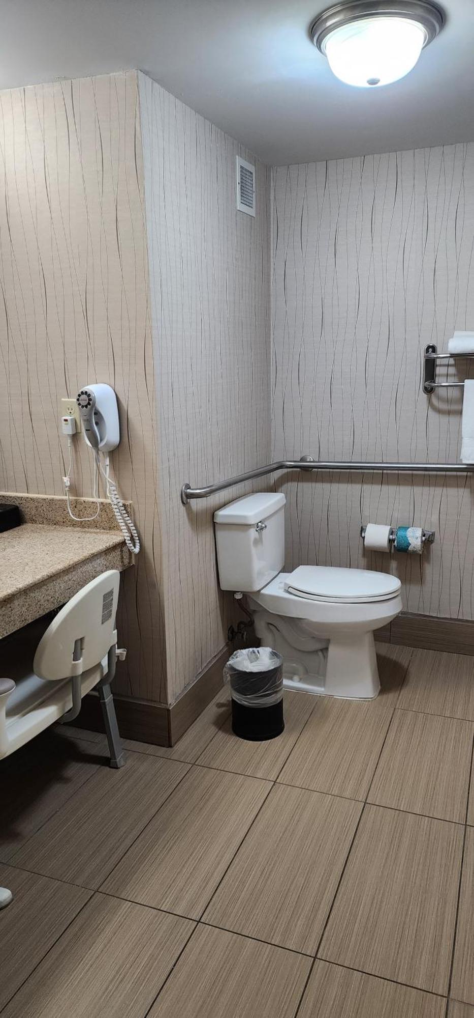 King Room Mobility Access Bathtub Grab Bars Non-Smoking
