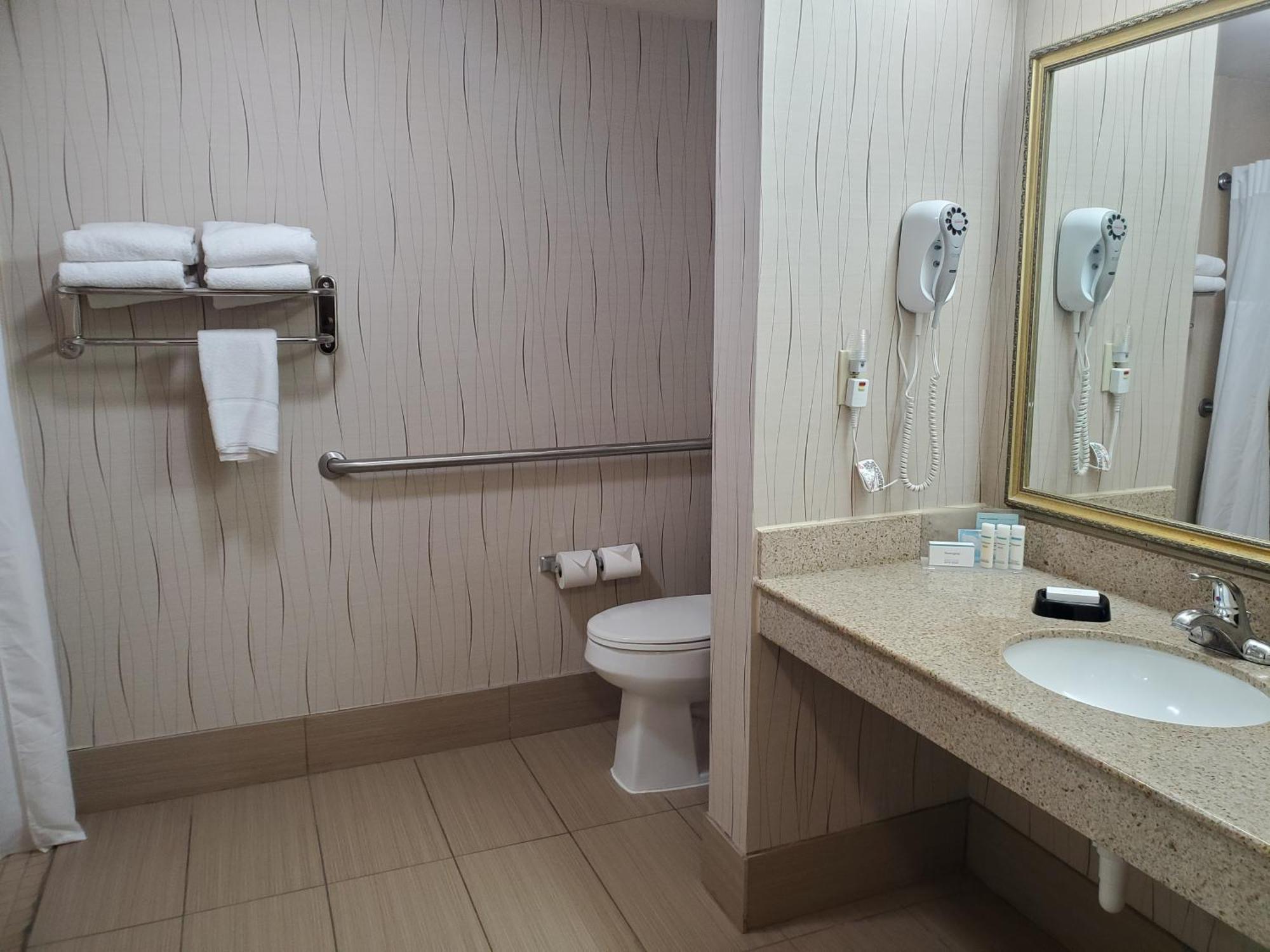 King Room Mobility Access Bathtub Grab Bars Non-Smoking
