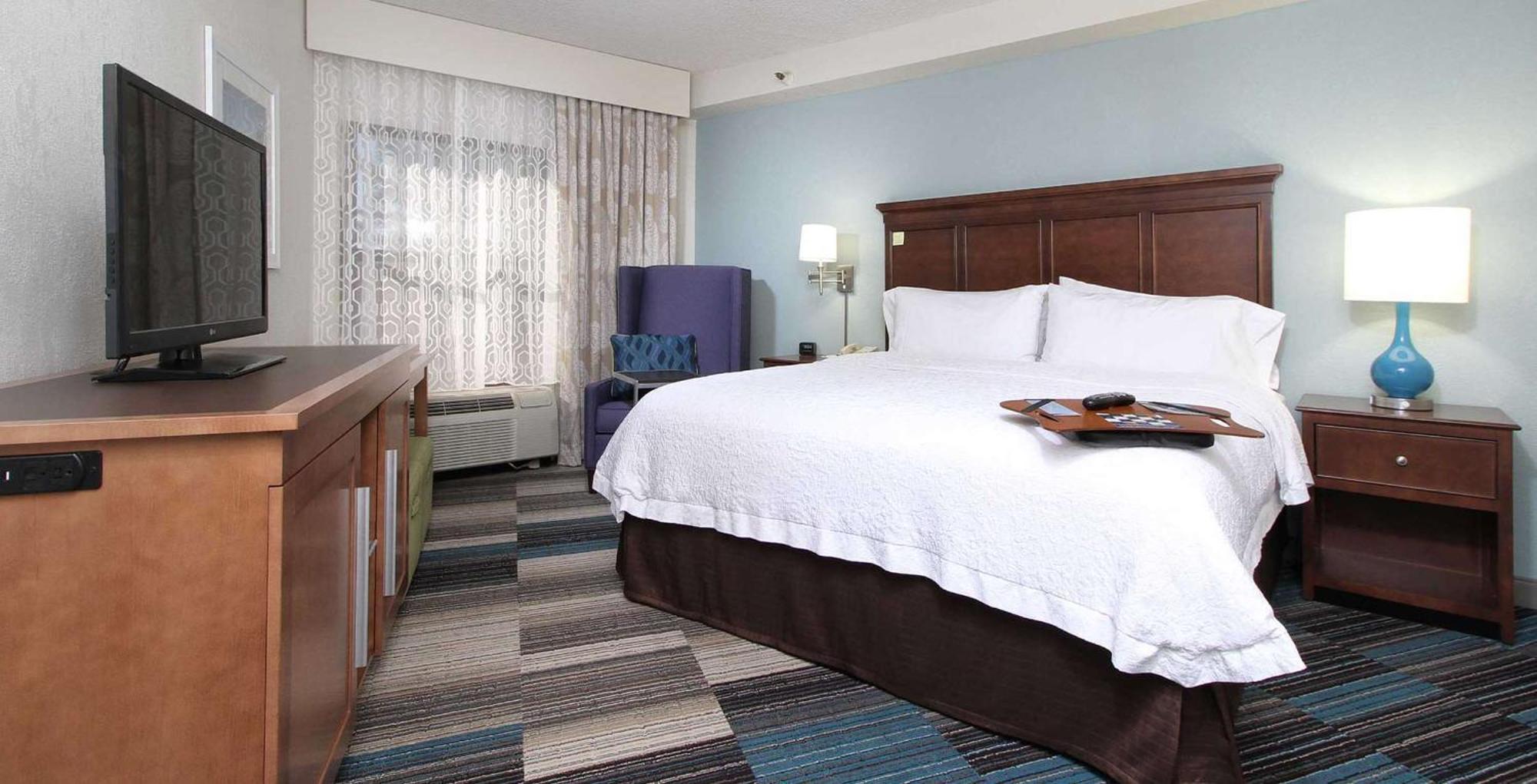 One-Bedroom King Suite Sofa Bed Non-Smoking